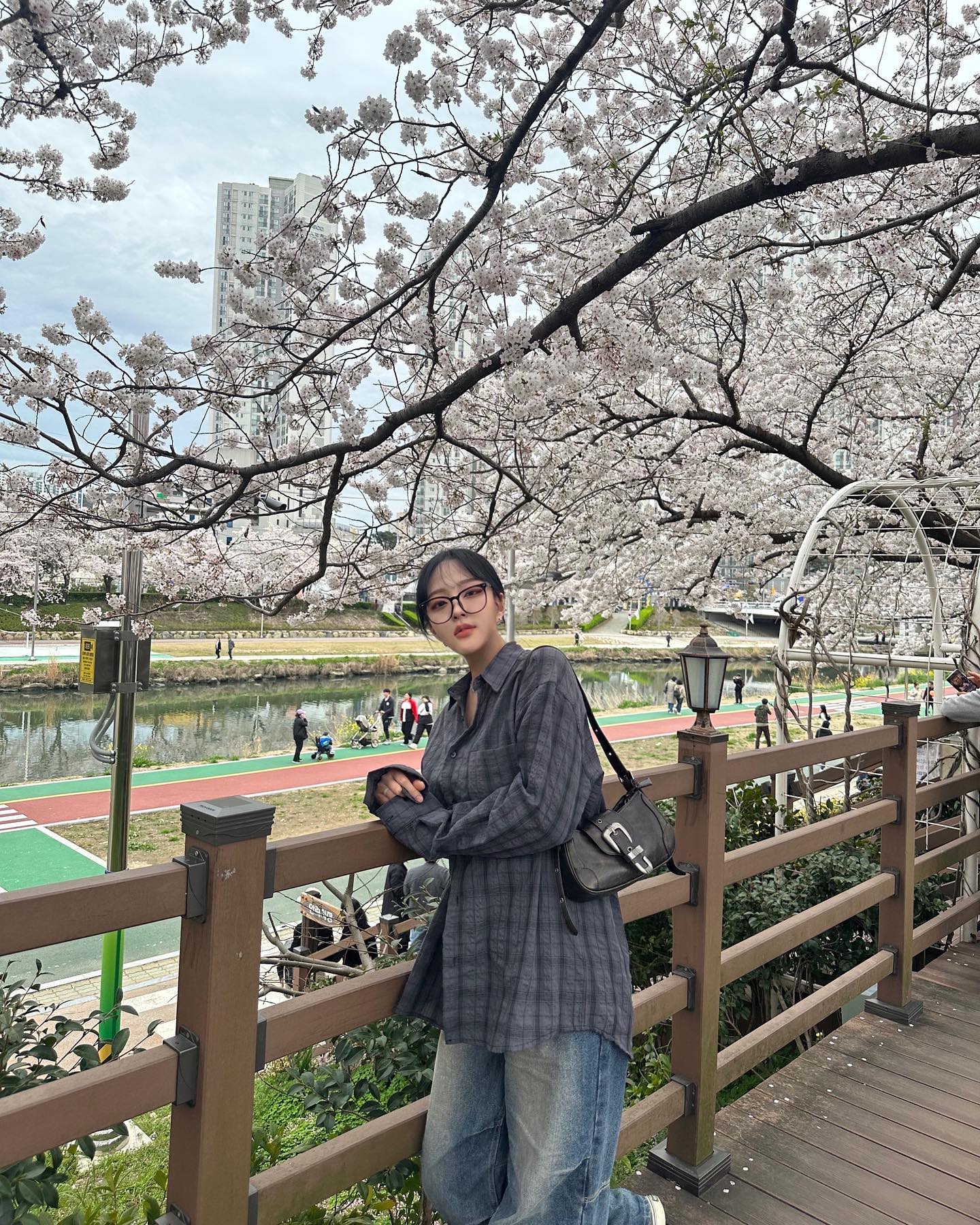 🌸피드 생존신고🌸