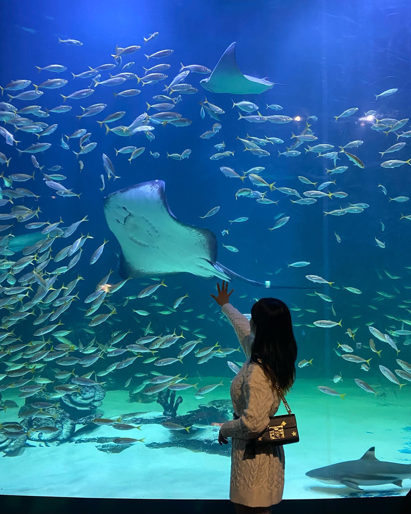 🐠
날씨 영향 안 받는 실내데이트코스를 찾는다면 여기!
#협찬 #대구아쿠아리움 #대구실내데이트 
⠀
이날만큼은 슴여섯 아니구 여섯쨜(?)마냥
인어언니들이랑 아이컨택 해보겠다고 열심히 손도 흔들어주고👋🏻
귀여운 토끼들 야무지게 당그니도 먹이고🐰🥕
내가 좋아하는 펭귄이랑 사막여우까지 완벽한 코스였ㄷr구🐧✨
⠀
아쿠아리움가면 꼭 찍어줘야한다는 수조인생샷을 못찍고와서
아쉬웠지만 대신 메인수조샷이 있잖아요 ?🩵
⠀
⠀
+ 백화점 내에 위치하고 있어
주차도 편하고 먹거리와 쇼핑까지 가능하다는거!🛍️
주말엔 아이들이 많으니 여유를 원하시면 평일방문 추천!😇
⠀
⠀
⠀
⠀
📌대구광역시 동구 동부로 149 신세계백화점 대구점 9층
⌚️10:30 - 20:00
(입장마감 19:00 휴무일은 백화점과 동일)
⠀
⠀
✔️포포몬(popomon.official )을 통해 서비스를 제공받아 작성된 글입니다