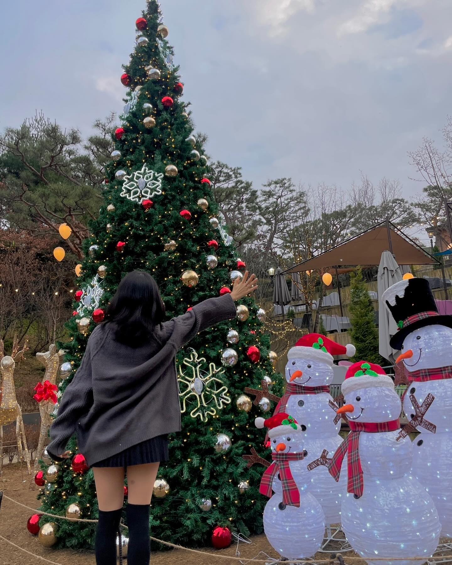 인간 트리랑 크리스마스 트리 사냥 나간 날 🎄