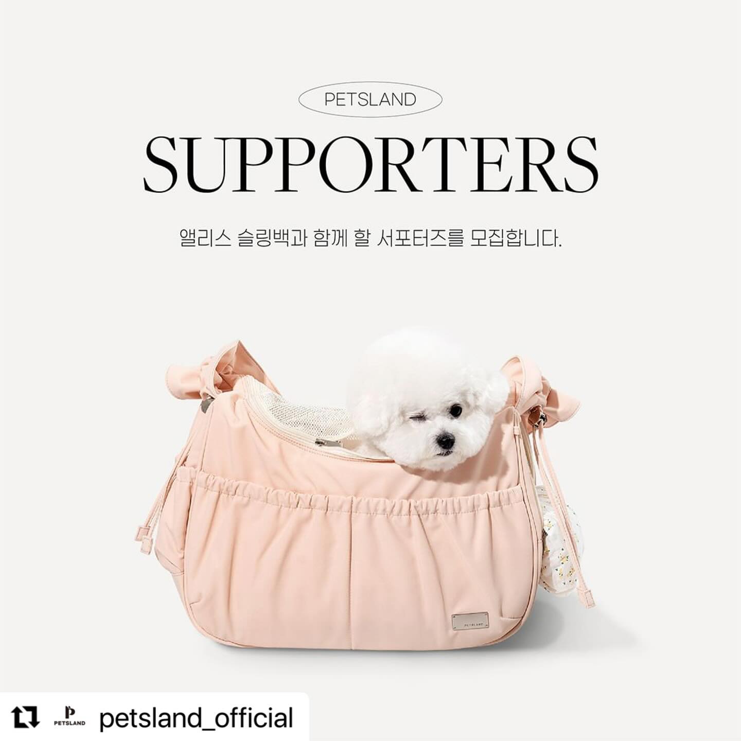 #Repost petsland_official with use.repost
・・・
❤️💛 앨리스 슬링백 2차 서포터즈 추가 모집 💛❤️

📣 많은 성원과 문의로 인하여
’앨리스 슬링백‘ 2차 서포터즈 모집 기간을
연장하게 되었습니다!👏

이 피드를 보고 계시는 분들 누❗구❗나❗ 참여 가능하니
어서어서 신청해 주세요😘

1. 활동 내용
▫️ 쿠팡 리뷰 & 펫츠랜드 자사몰 리뷰
▫️ 인스타 후기 업로드

2. 지원 방법
▫️ 쿠팡에서 ”펫츠랜드 앨리스백“ 검색후 원하는 컬러로 찜하고 캡쳐
▫️ 카카오플러스친구 펫츠랜드 친구추가 후 캡쳐본 전송
▫️ 지금 보고 계시는 피드를 리그램 해주세요❤
▫️ 댓글에 ”#펫츠랜드 #앨리스슬링백 #강아지가방 참여완료“ 작성
  리그램 하신분들은 #리그램완료 까지!!

tip! 친구들 소환해주시는 분들은 선정률 up!up!
소환한 친구들이 함께 애카 갈수 있는 친구들이면 더더욱 up!up!

4. 모집기간
▫️ 2월 15일까지
