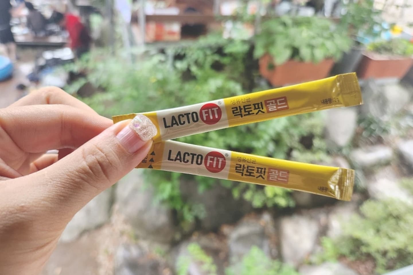 #협찬 
#락토핏서포터즈
#락토핏골드 

물놀이 후 많은 양의 음식과
고기위주의 식사, 야식까지,
불규칙한 식습관으로 우리가족 장 건강에 빨간불!
가족의 건강을 책임지는 엄마가 나섰지요!

우리 가족 장 건강을 위해
휴가 중에도 꼭 챙기는 필수템 락토핏골드!

*락토핏만의 핵심균주 조합 LACTO-5X™ 포뮬러 적용
*신바이오틱스, 아연, 유산균대사산물(포스트바이오틱스, 부원료)까지 한 포에
*상온보관 가능
*1일 1회 1회 1포 물 없이 섭취 가능
*새콤달콤한 맛으로 맛있게 섭취 가능
*스틱형 개별포장으로 외출할 때도 간편하게

#휴가필수템 #락토핏 #대한민국1등유산균
#우리가족장건강 #장건강 #맞춤형유산균
#생유산균 #온가족유산균 #락토핏플3기
#유산균추천 #종근당건강 #락토핏플 #락토핏서포터즈 #락토핏골드 #휴가필수템