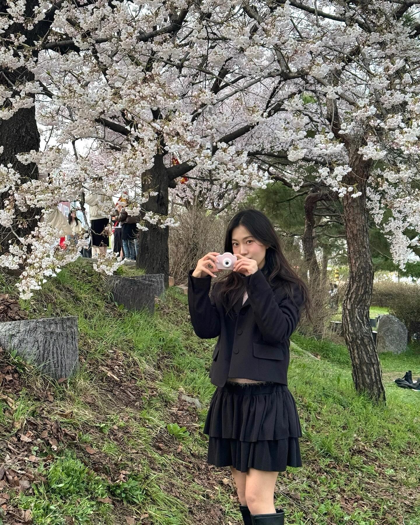 자~ 다음 사진 찍힐 사람📷📸
#무심천 #벚꽃 #벚꽃축제 #꽃