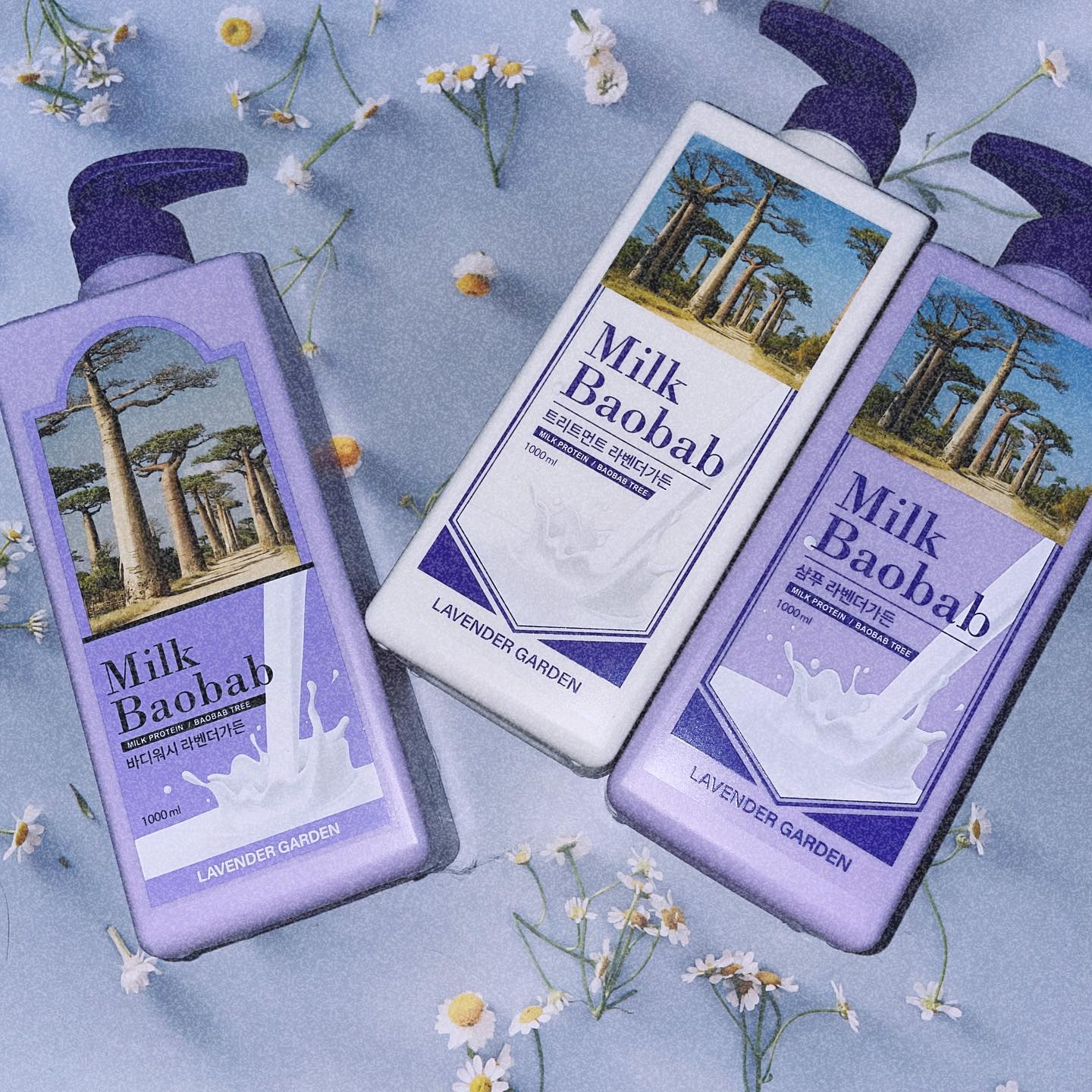 #협찬 #광고 milkbaobab_official
지친 마음에 평온을 선사하는 향기, 라벤더가든🪻
밀크바오밥을 대표하는 오리지널 라인 신제품 라벤더가든이 출시됐어요! 패키지부터 너무 예뿌죠 ?🥺🤍

샴푸&트리트먼트🧴바디워시🫧 
세 제품 모두 3가지 시카 성분과 4가지 라벤더 성분이 함유되어 
두피와 피부를 건강하게 보호하고 편안히 진정시키준답니다 ◡̈ 

신선한 베르가못과 유칼립투스, 차분한 라벤더와 머스크가 더해진 밀크바오밥 라벤더가든 향은,
잔잔하며 마음에 평온을 주는 잔향이 은은하게 지속되어요 🤍
게다가 대용량••♥

#밀크바오밥 #라벤더가든 #라벤더향 #유칼립투스향 #베르가못향 #향기좋은샴푸 #향좋은바디워시추천 #잔향 #향기스타그램 #데일리아로마