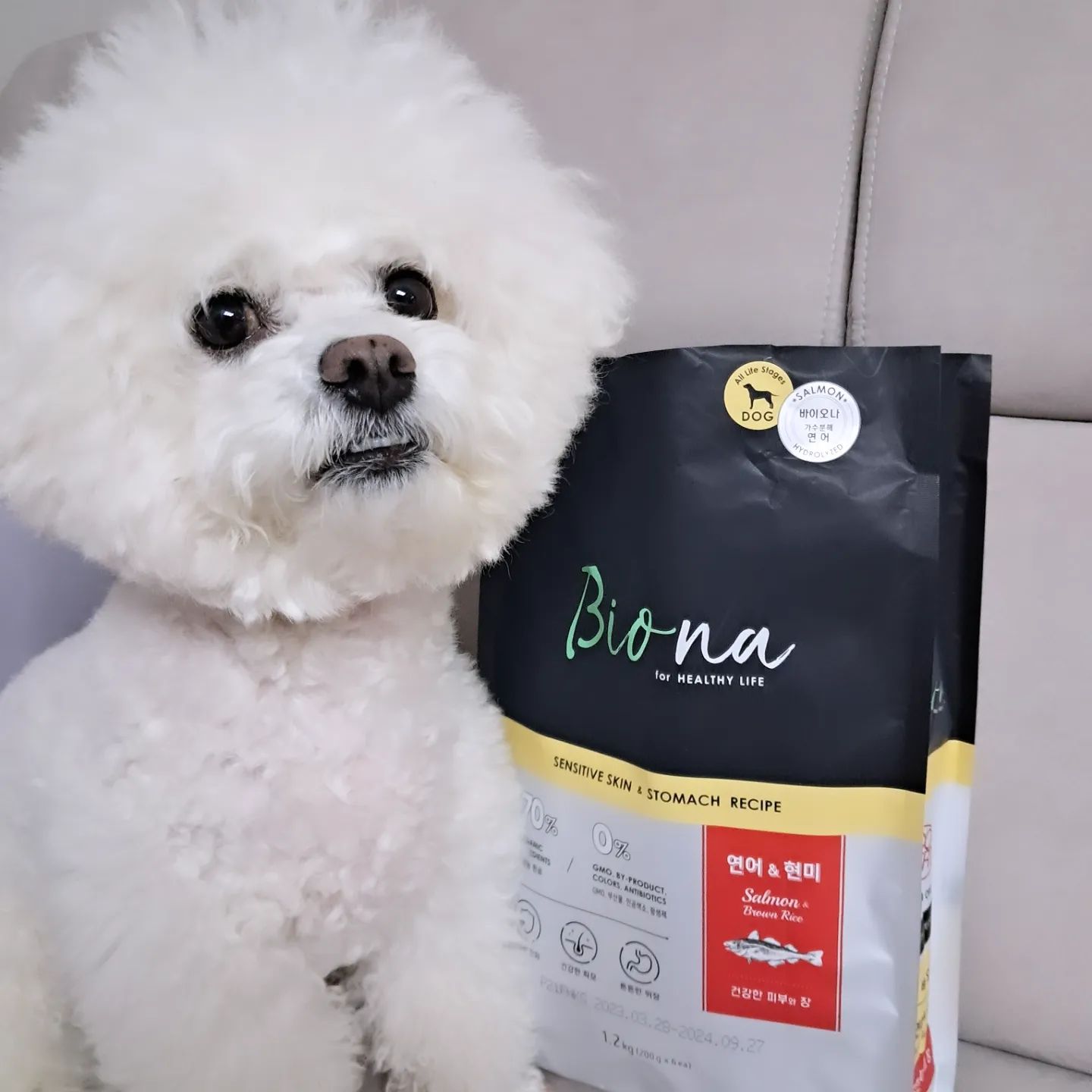 #협찬 바이오나 유기농 가수분해사료 1.2KG (연어 & 현미)

🐕🐶하얀털을가진 울댕댕이 피모건강과 눈물자국 사료 먹여봤는데요 잘먹네요 눈물자국은 정말고민이기도하고 눈밑 진무름까지 너무신경쓰이죠 ㅠ 
🐕🐶70%이상이 유기농원료라 안심이구요 특히나 연어 사료 좋아하는 울댕댕이 최애죠 프로바이오틱스 함유로 소화흡수도 잘돼 배변 활동도 도움되니 짱이네요 💯소포장이라 다른 사료 급여중에 함께 먹일수있어좋구요 사이즈도 좋아서 오독오독 잘먹네요 가수분해사료라서 더좋구요 요즘노견이 되가면서 관절 .피모.눈물자국 사료 같이 급여중인데 잘먹어서 너무좋아요 ~♡♡
🐕🐶유기농이면서 저알러지 피모건강.눈물자국 사료 찾으신다면 잘먹는 사료로 추천해요 ~~♡

#협찬 #바이오나 #강아지사료 #가수분해사료 #유기농사료 #저알러지사료 #피모건강 #눈물자국감소 #반려견 #댕댕이 #강아지