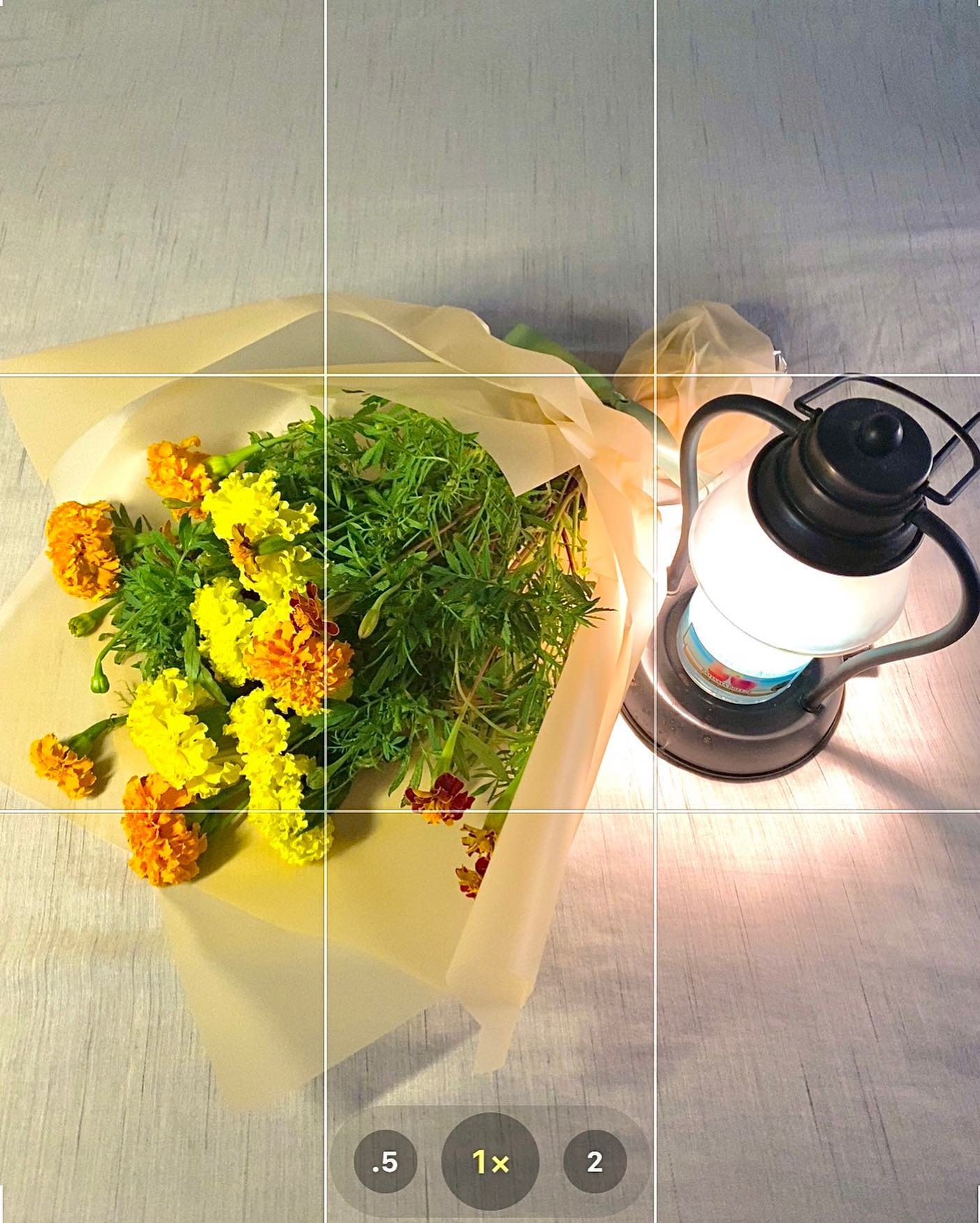 메리골드, 반드시 오고야 말 행복🧡💛