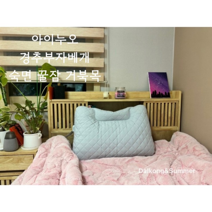 아이누오 경추 부자 베개 / 목디스크 거북목 꿀잠 숙면 베개
