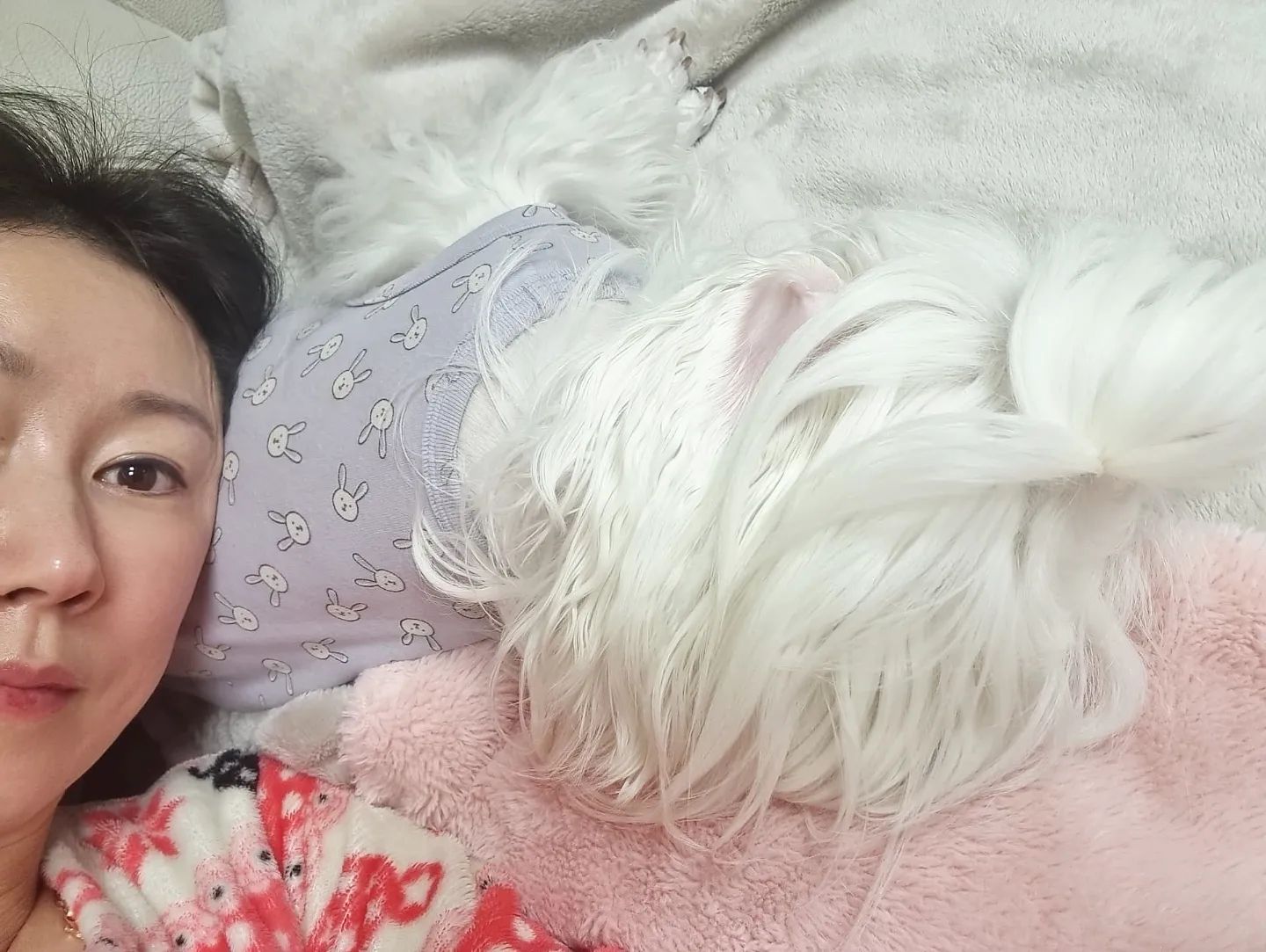 그냥 이러고 싶은날~

근데 목에 담온것같은 느낌적인느낌..😂

연휴 내내 늦잠잤는데

연휴 끝인거.. 실화..?🫨

#연휴끝
#양치하고자자