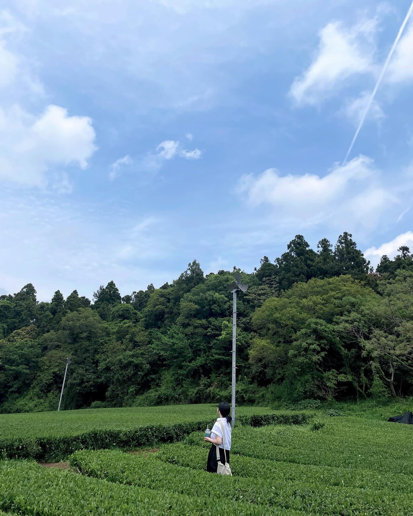 제주온거 티내기 🌴