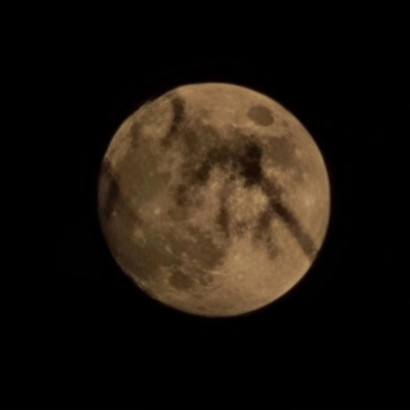 #보름달 🌕 

항상 보름이 되면, 크고 둥근 달이 너무 예뻐,
달 사진을 찍기 시작했는데,
보름인 오늘 비가 내린다. ㅠㅡㅠ

어젯 밤 찍어놓은 달 사진-
달리는 차 안이라 선명하진 않다.

어제 달이 참 예뻤는데,,,

#11월의보름달 #비버문 #beavermoon #fullmoon #핸드폰달사진 #50배확대 #갤럭시노트20울트라50배줌 #달달무슨달쟁반같이둥근달 🌝