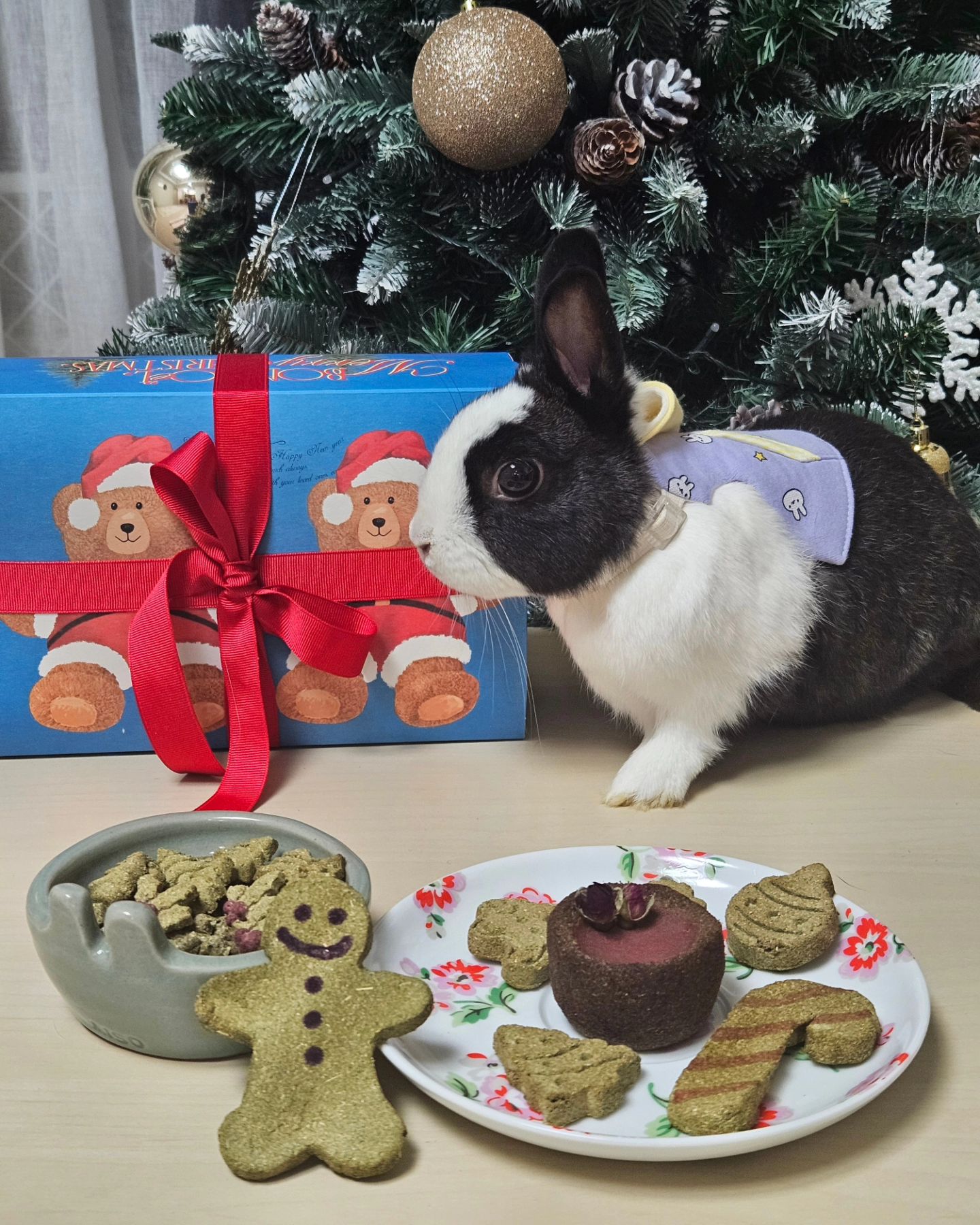 bunny_dessert_shop bunnykiss.kr 🎄크리스마스 선물 세트 도착! 찐승이는 입이 짧고 식탐이 별로 없는 편인데(유산균도 토힘도 잘 안먹어요😅) 버디샵 간식은 항상 허겁지겁 먹더라구요! 맛있게 만들어주신 버디샵 감사합니다🖤🤍 찔끔만 주고 냉동실에 넣었어요ㅎㅎ 아껴뒀다 크리스마스에 먹일게요🎄