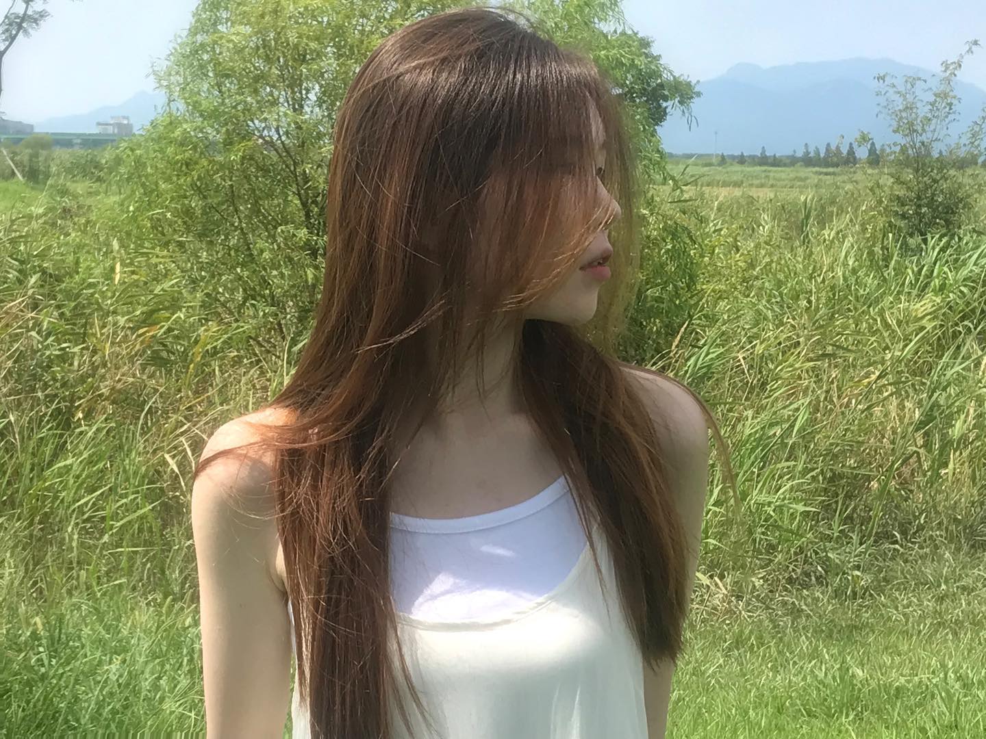 콘텐츠