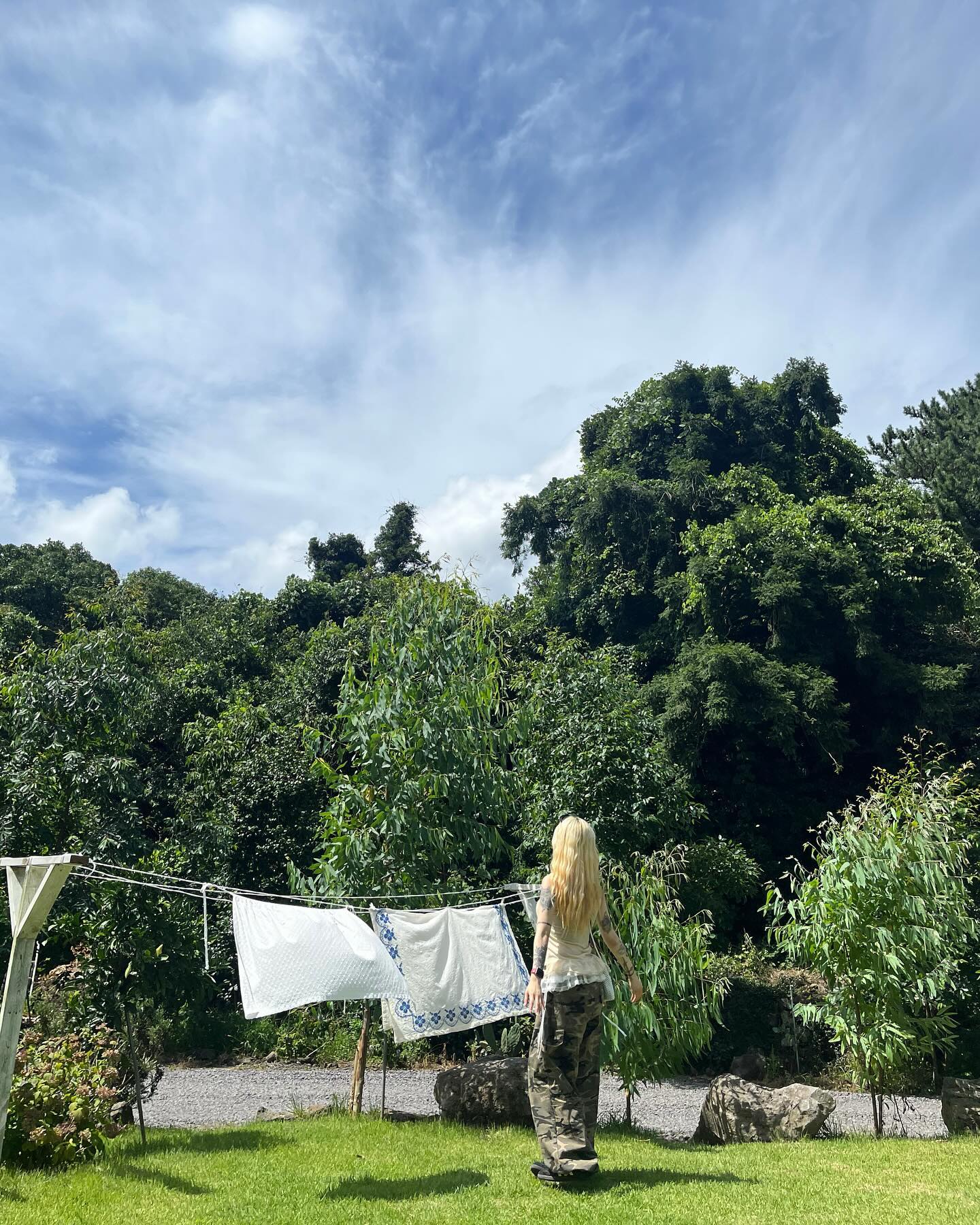 제주 내놔 。｡