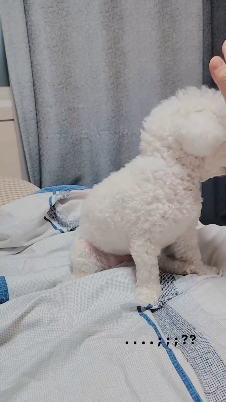 콘텐츠