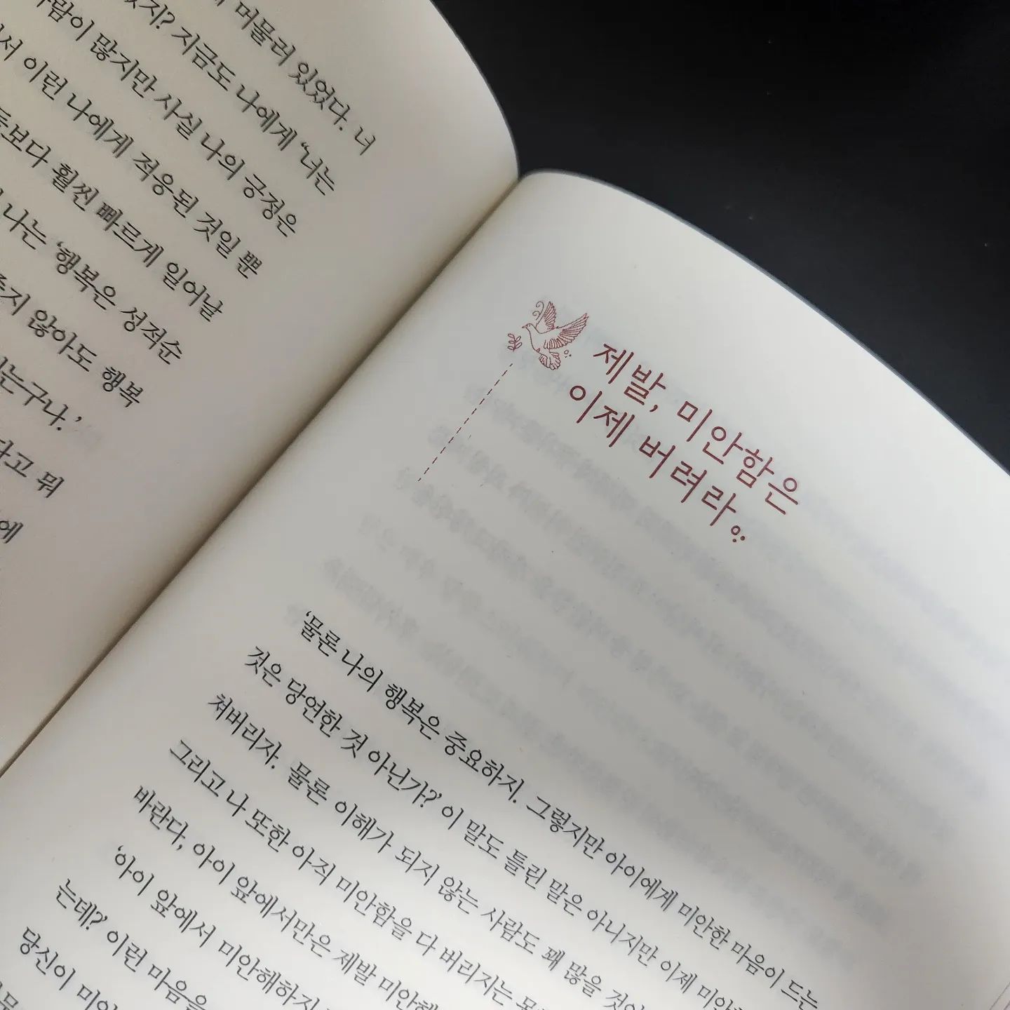 📚

한비협에 갔다가 발견한 도서
#내가싱글맘이될줄은정말몰랐습니다

아이들도 다 느껴요
더이상 미안해 하지 마세요!
앞으로 잘해주고 싶은 것만 생각하세요!

bagledaddy