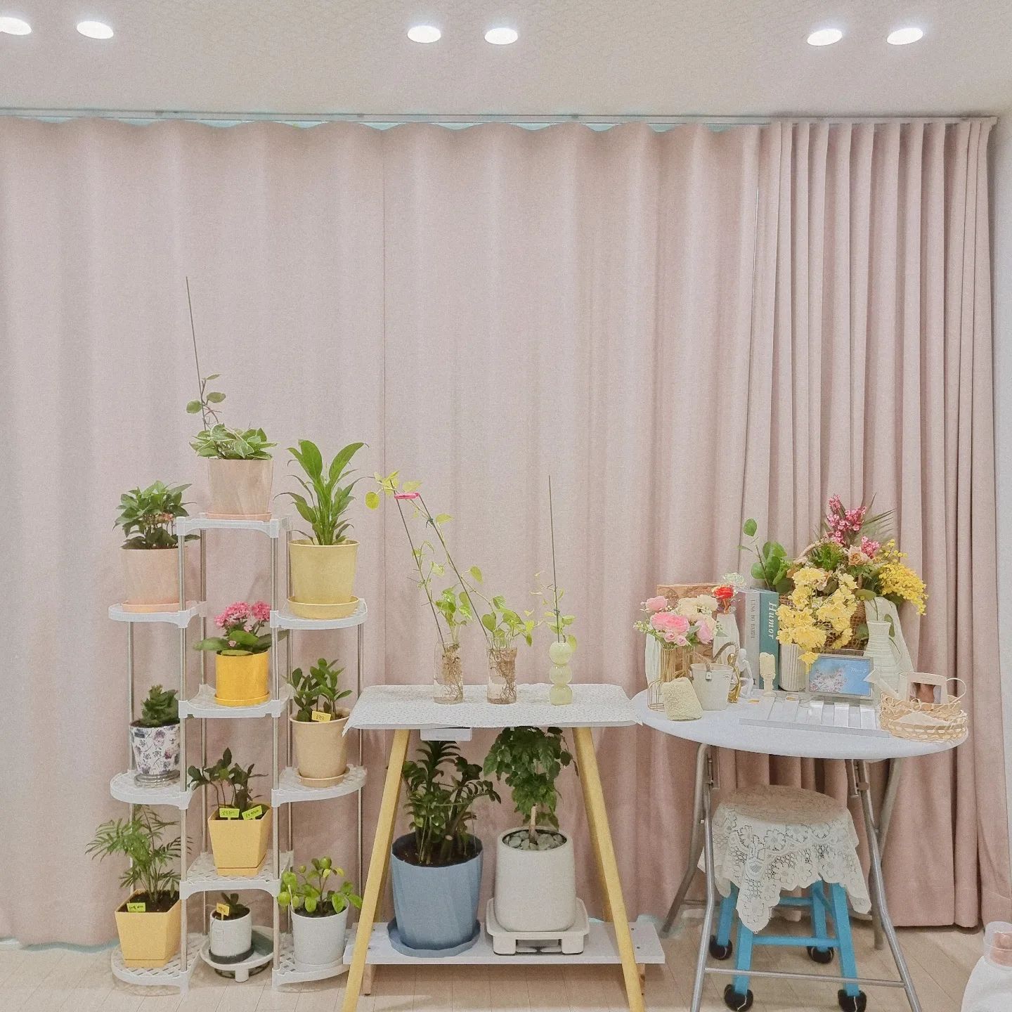 피아노를 치워버리고, 플랜의로 🌿 
겨울이 다가오면서 플랜도 바뀌고있어요!

실내에서 키우기 좋은 식물로, 싹도 트고 관리
잘 해주고 있는것 같아 기분이 👍