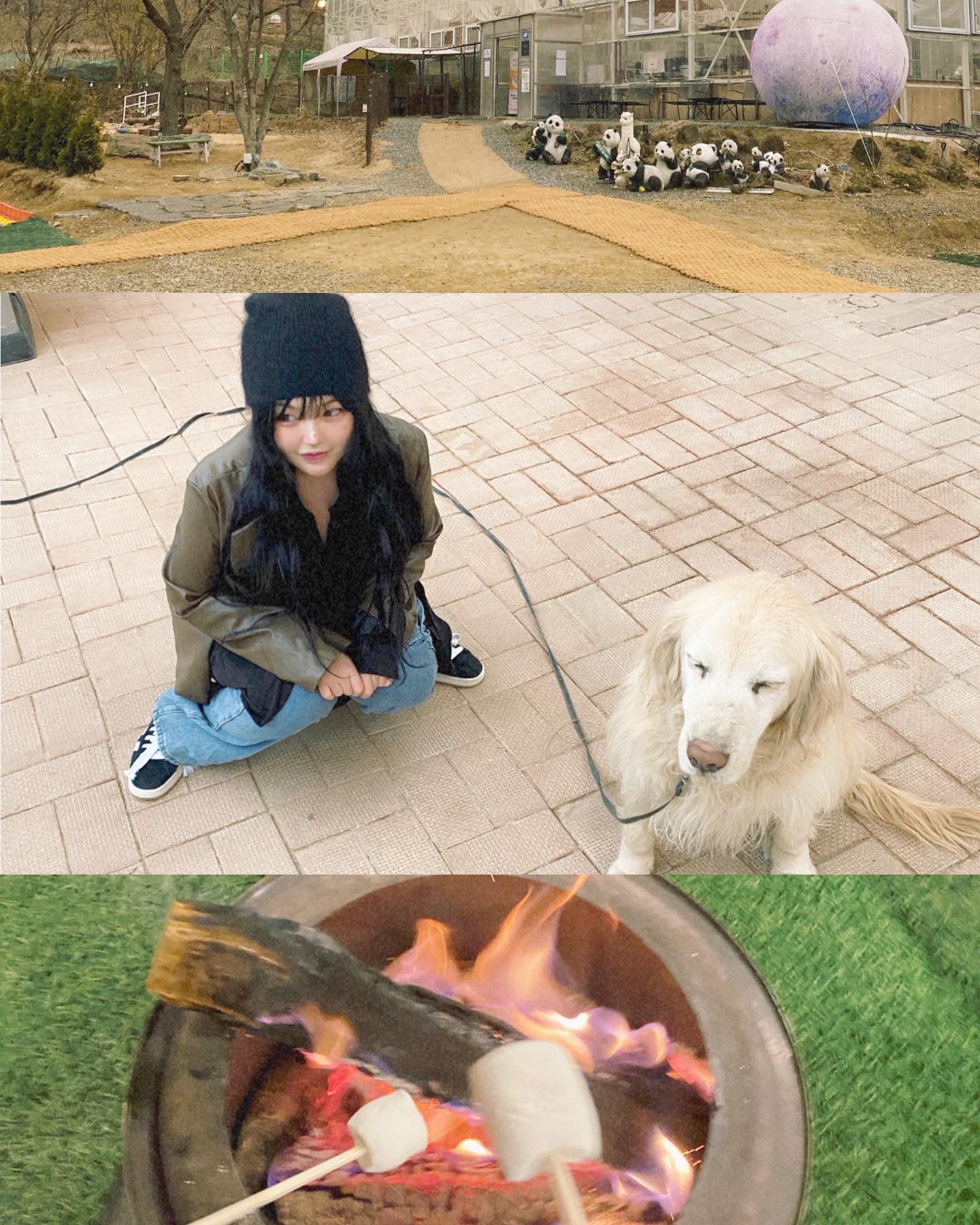 #ad #광고 #협찬 #비욘더팜 #글램핑 #애견동반
가족들과 너무 즐거웠던 애견동반 가능한 비욘더팜 캠핑 🫶🏻 
좋은 추억도 쌓고,서울 근교라 가깝고 당일캠핑이라  넘 좋았다 외부 음식도 가능하고,캠핑장에도 없는게 없다 다양한 체험도 가능하고 너무 사랑스러운 동물들도 있어서 해피 바이러스…🐶🐰 다음에 꼭 또 갈구야..🥹