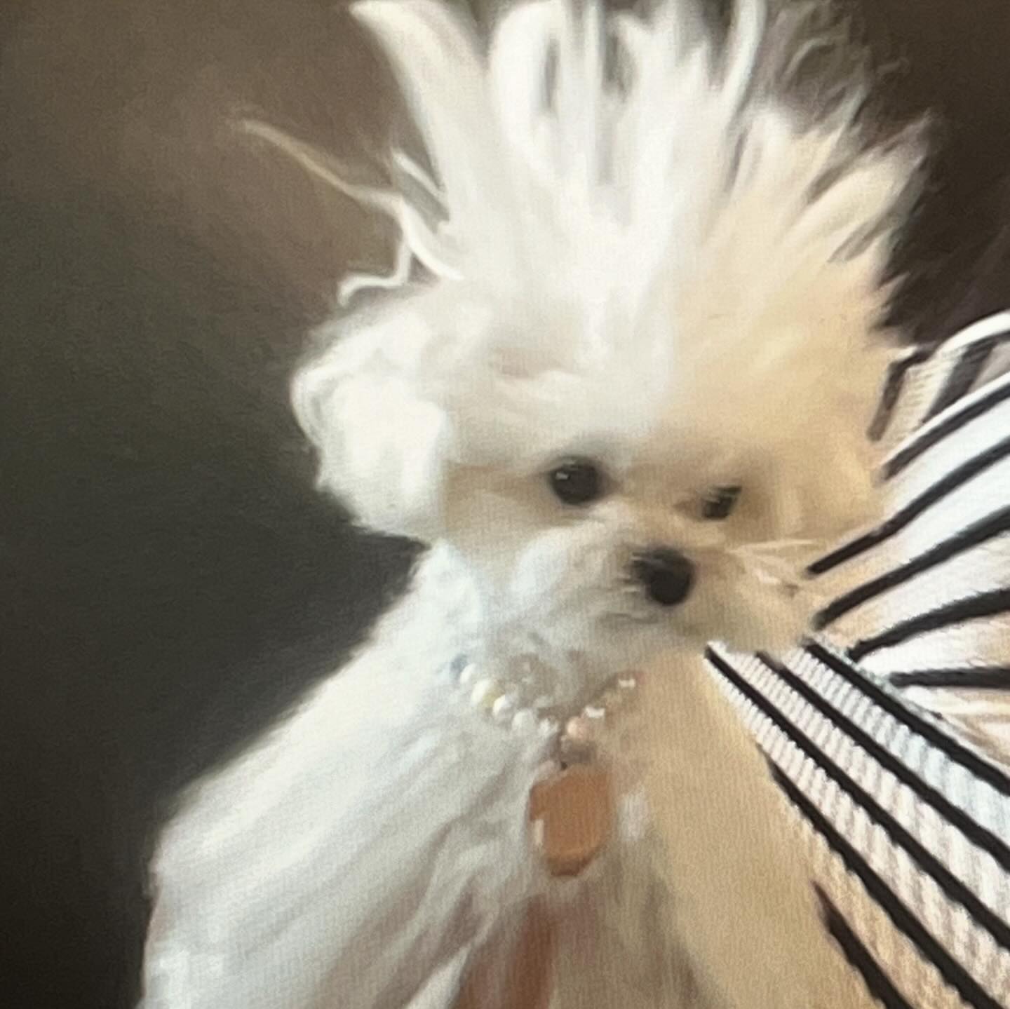 언니 내 얼굴 왜이랭 👀

#포토부스 #오목효과 #⚡️⚡️⚡️