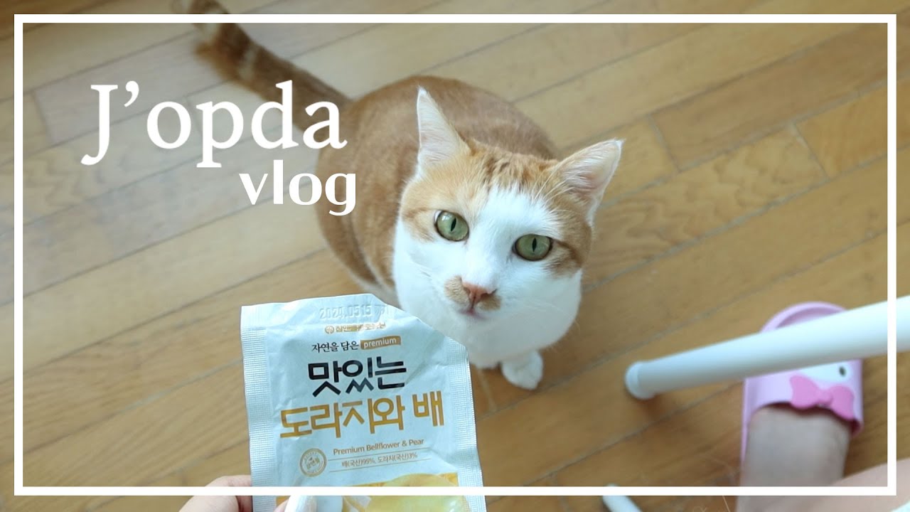 #배도라지즙 마시면서 오션월드 가고 여주여행 가는 자취생 직장인 브이로그 | #참앤들황토농원 #감기조심 #코로나조심