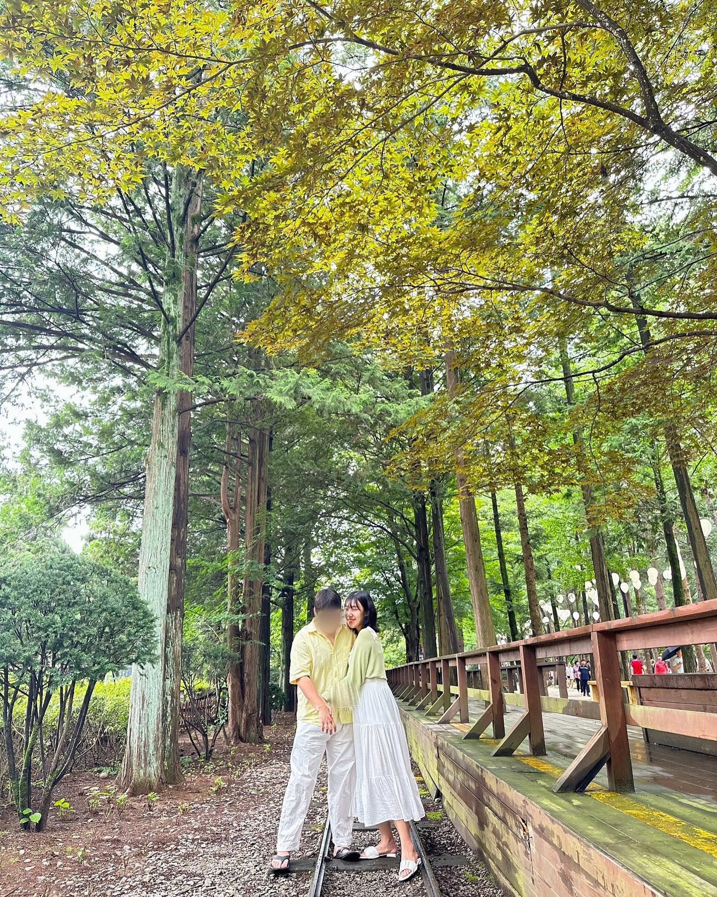 🌳