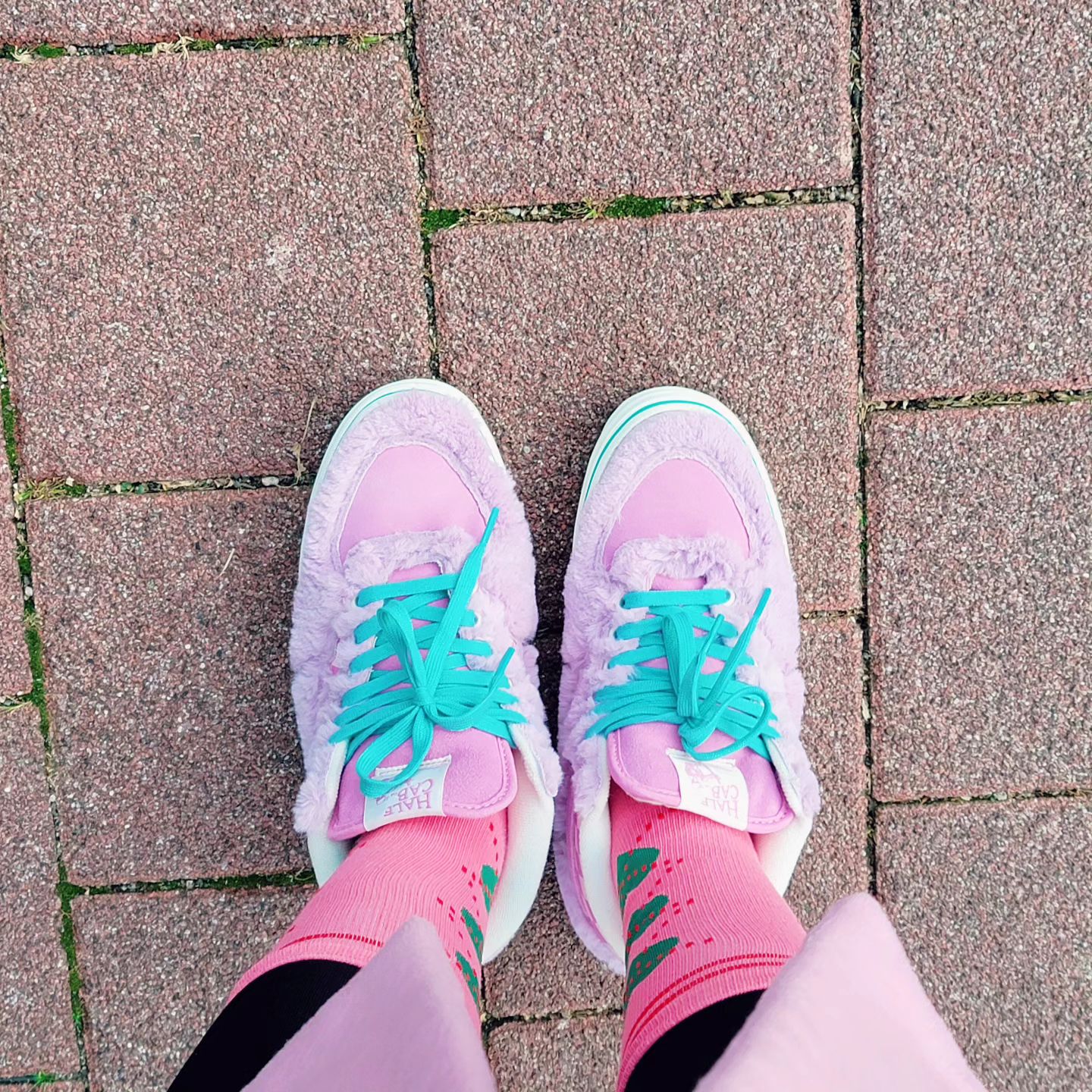 4월에 사서 이제야 신는 털신

#myshoes #vans
