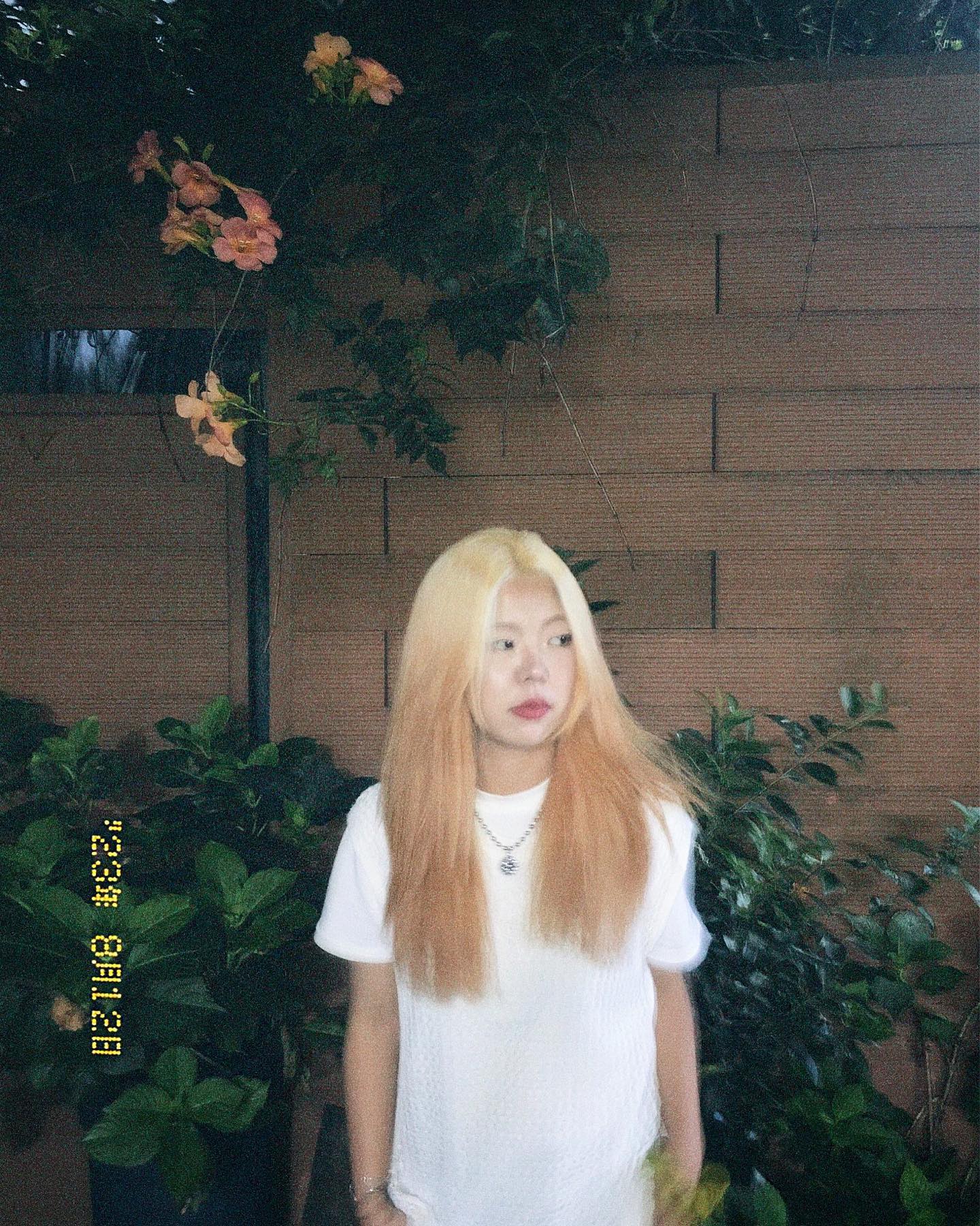 📸 📷