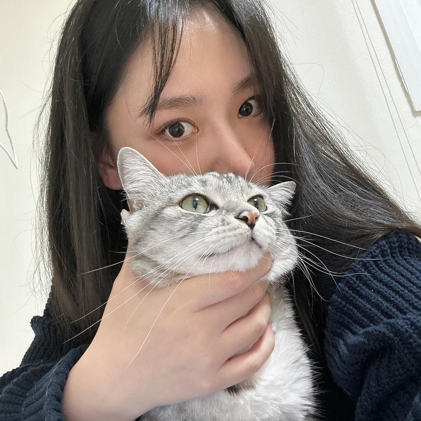 크림이랑 한컷~📸
#집사#셀카#고양이#쿠랑크