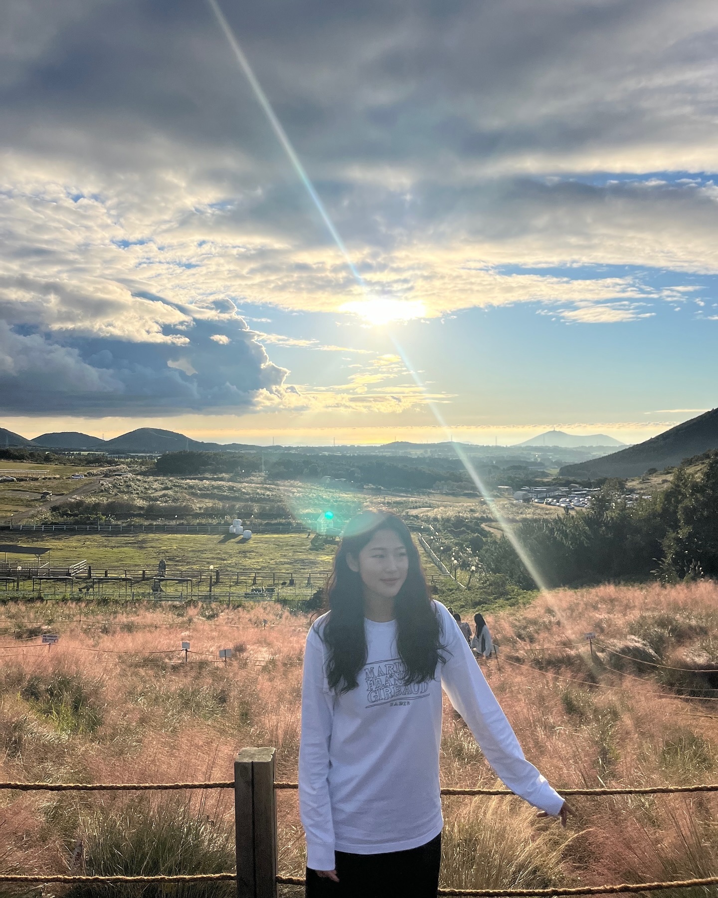 나도 봤다 핑크뮬리 🎀🌷🌸🩷