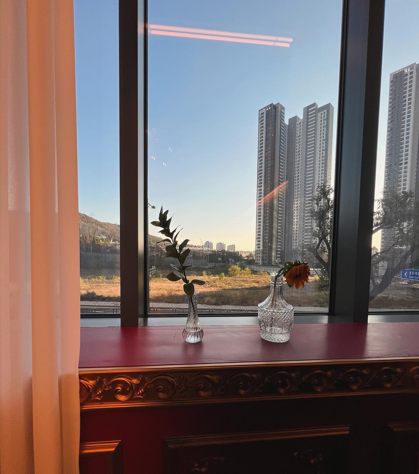 📸

#주말이다아아아🤸‍♀️