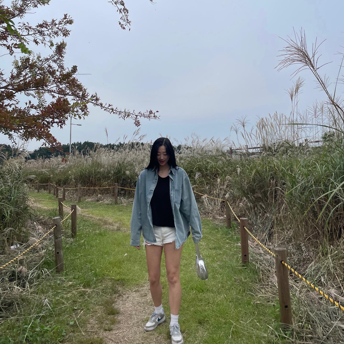콘텐츠