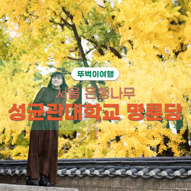 11월 서울단풍 명소 성균관대학교 명륜당 주차팁