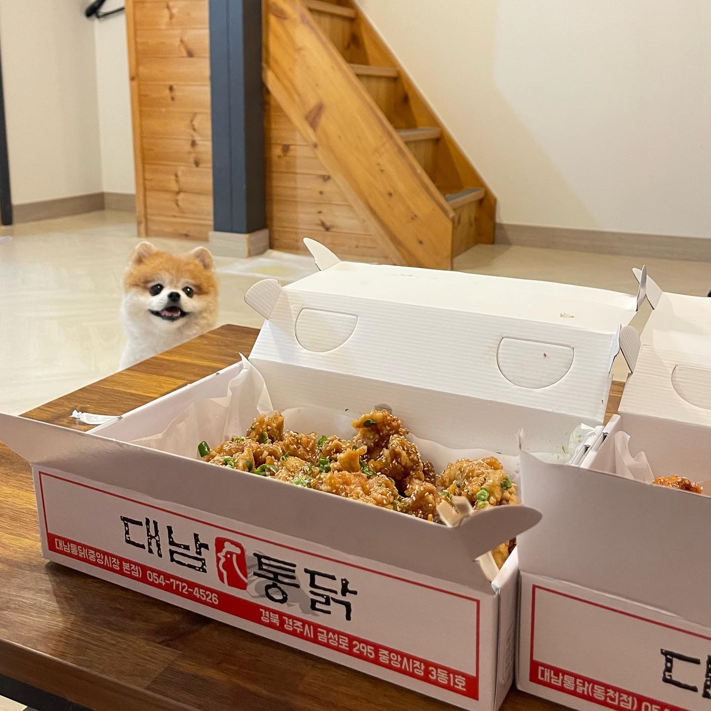 경주 중앙시장 치킨 맛집!!!
물놀이 후 야식으로 딱인 대남통닭🍗
.
.
#경주맛집 #경주치킨맛집 #경주통닭맛집 #경주중앙시장 #경주중앙시장맛집 #대남통닭 #대남통닭중앙시장점