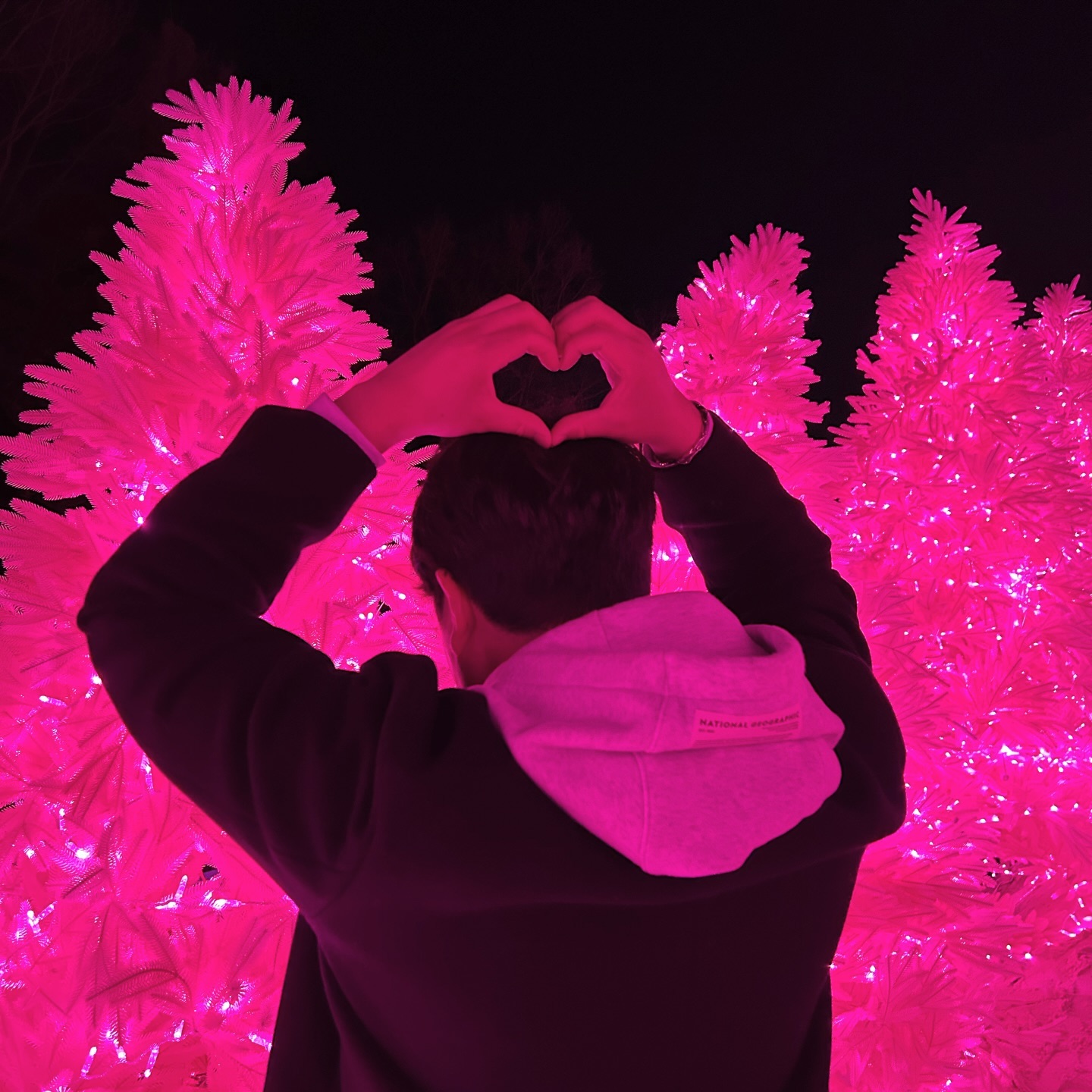 핑크나라 나도 다녀왔ㄷㅏ💓 손하트 왜이렇게 잘행..?
