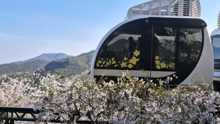자연이 주는 선물🍃🌳🌳 #산책시간🌿
.
.
.

#화담숲🌳 
#모노레일 
#벚꽃구경🌸 
#걷기좋은날 
#날씨최고 
#걷기좋은길 
#평일일상
#일상기록
#서울근교나들이
#곤지암리조트