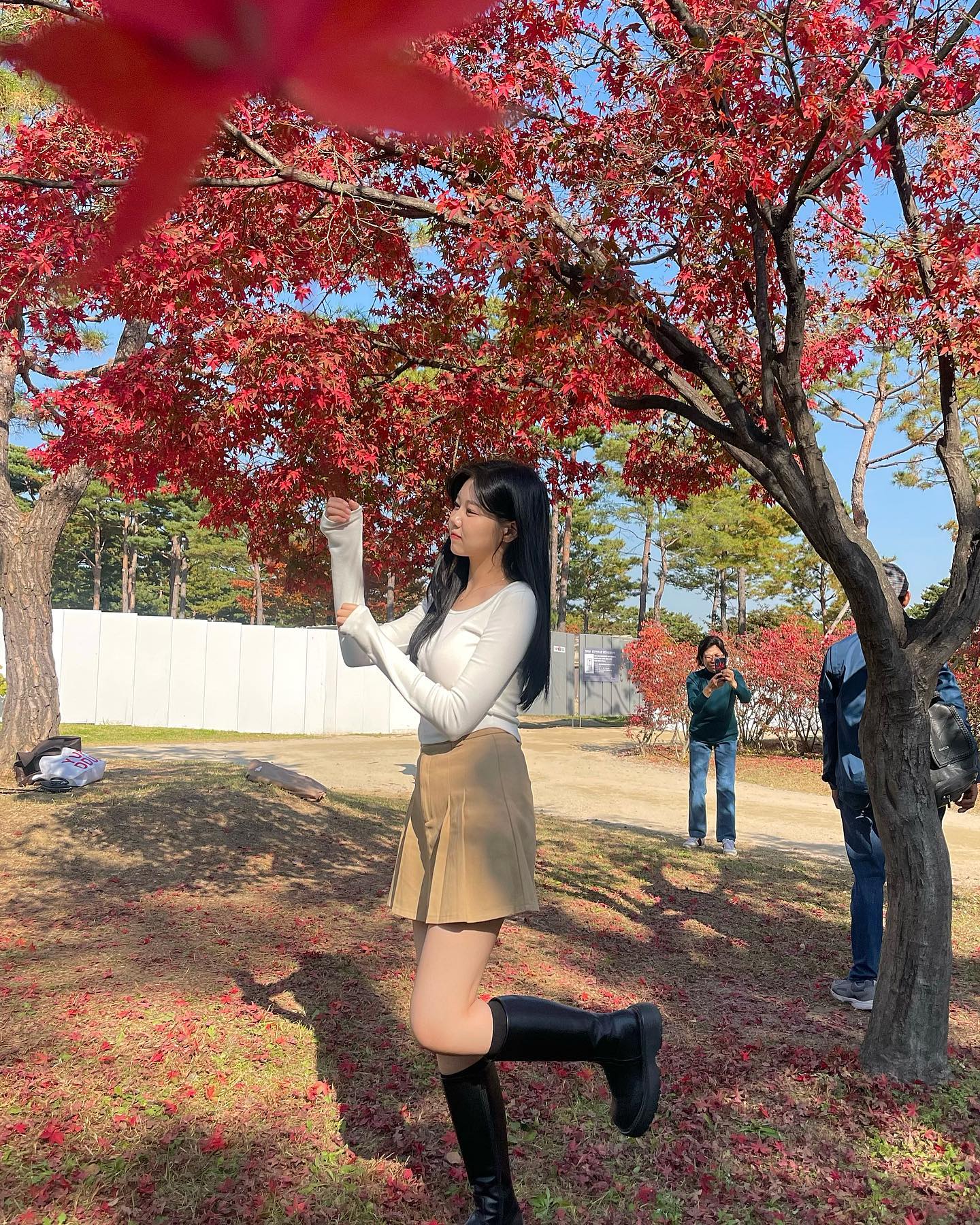 이거 이거 어렵잖아,,? 🍁🍂단풍샷 찍으려고 하루종일 단풍잎 주우러 다닌 사람🙋🏻‍♀️ 
#단풍샷