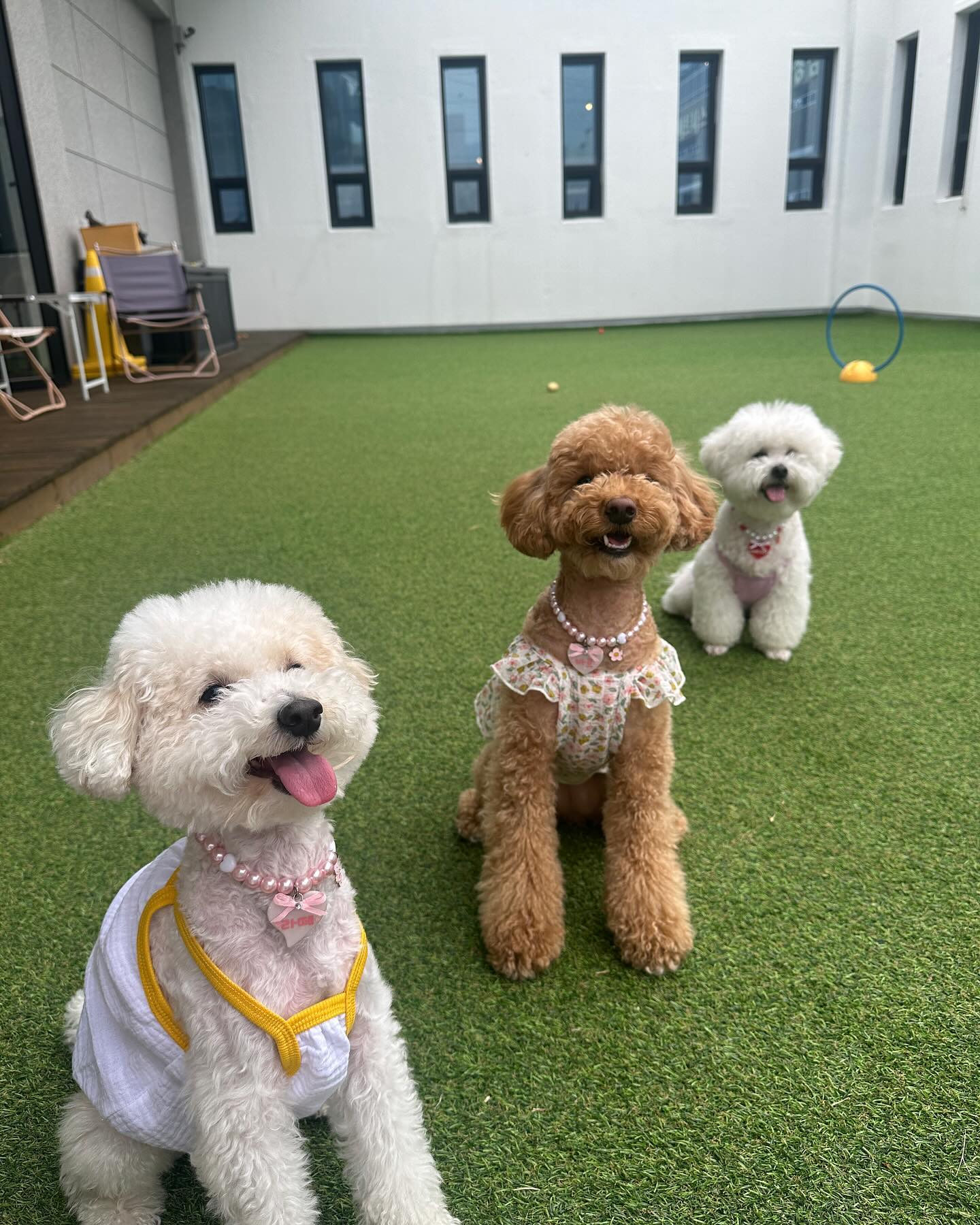 공친놈 모임🥎