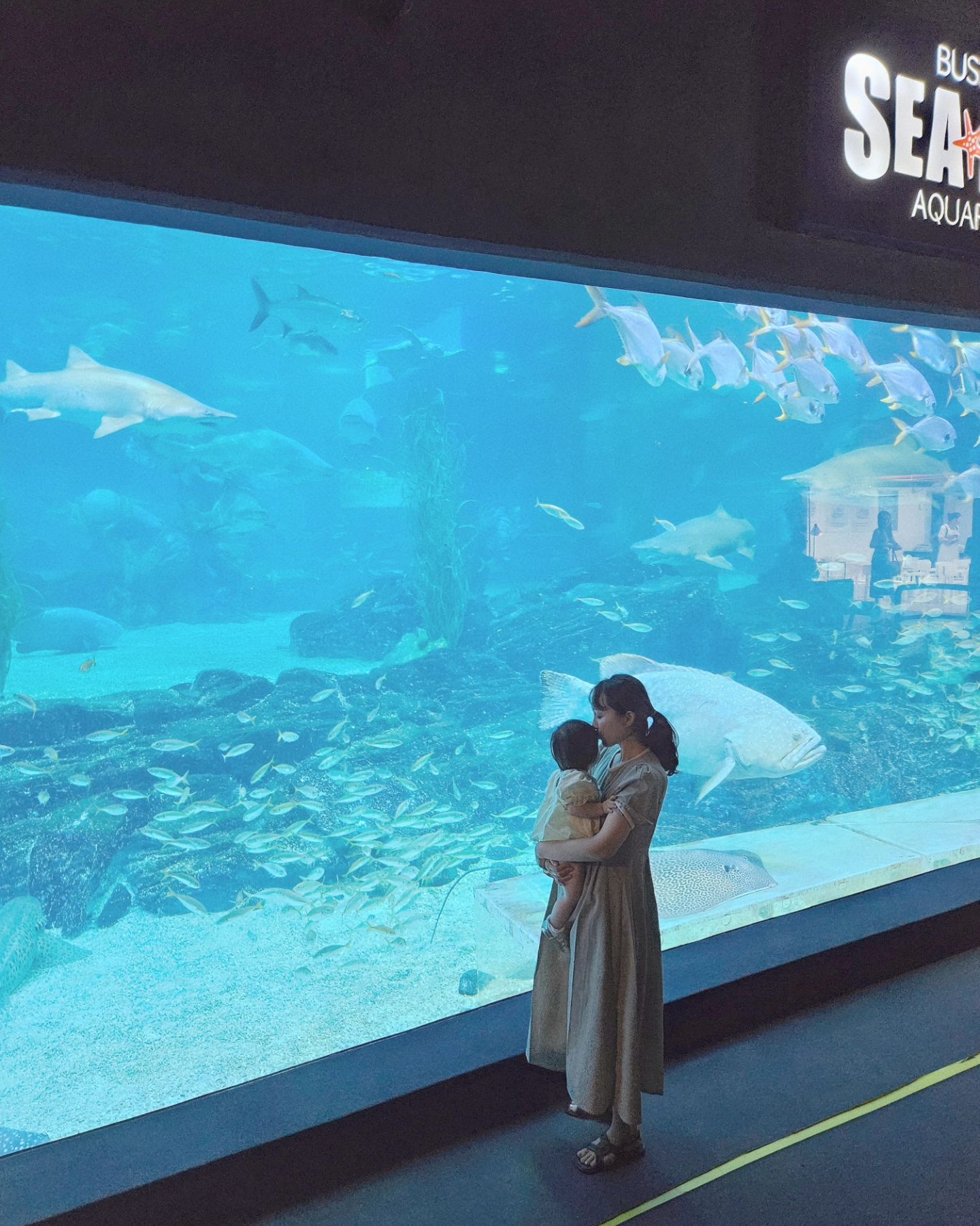 #부산아쿠아리움 #부산해운대 #부산아기랑갈만한곳 #아쿠아리움 #씨라이프 #부산해운대갈만한곳 

24.8.6 아기와 함께 아쿠아리움 다녀왔어요.
아기가 좋아할거같아 엄청난 기대를 가지고 도착한 아쿠아리움,,,
너무나 성수기일때 방문하여 주차장도 멀리있는곳으로 가고 줄서는 대기도 많았구,,,힘들게 들어갔어요,

사람이 많아 이리치이고 저리치이고,,,아기는 땅에 발을 안닿을라하고 ㅎㅎ 허헛

그래도 이것저것 호기심있게 보더라구요.
첫 아쿠아리움 방문이였는데 불육아하고 왔답니다 ㅋㅋ
비성수기일때, 아기가 조금 더 컸을때 다시 방문해야겠어요 ㅎ

**지하3층 수유실에 세면대가 없어요,, 정말 불편한 점 중 하나였답니다. 참고하셔용!!