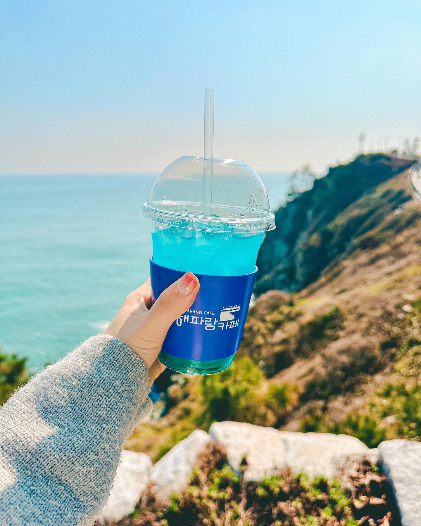오륙도 수선화 구경🌼
아직 100% 만개한 건 아니지만 구경하고 사진 찍기엔 충분했던🤭
이번 주 다음 주까지 구경하기 딱 좋을 거 같다👍🏻
⠀⠀⠀