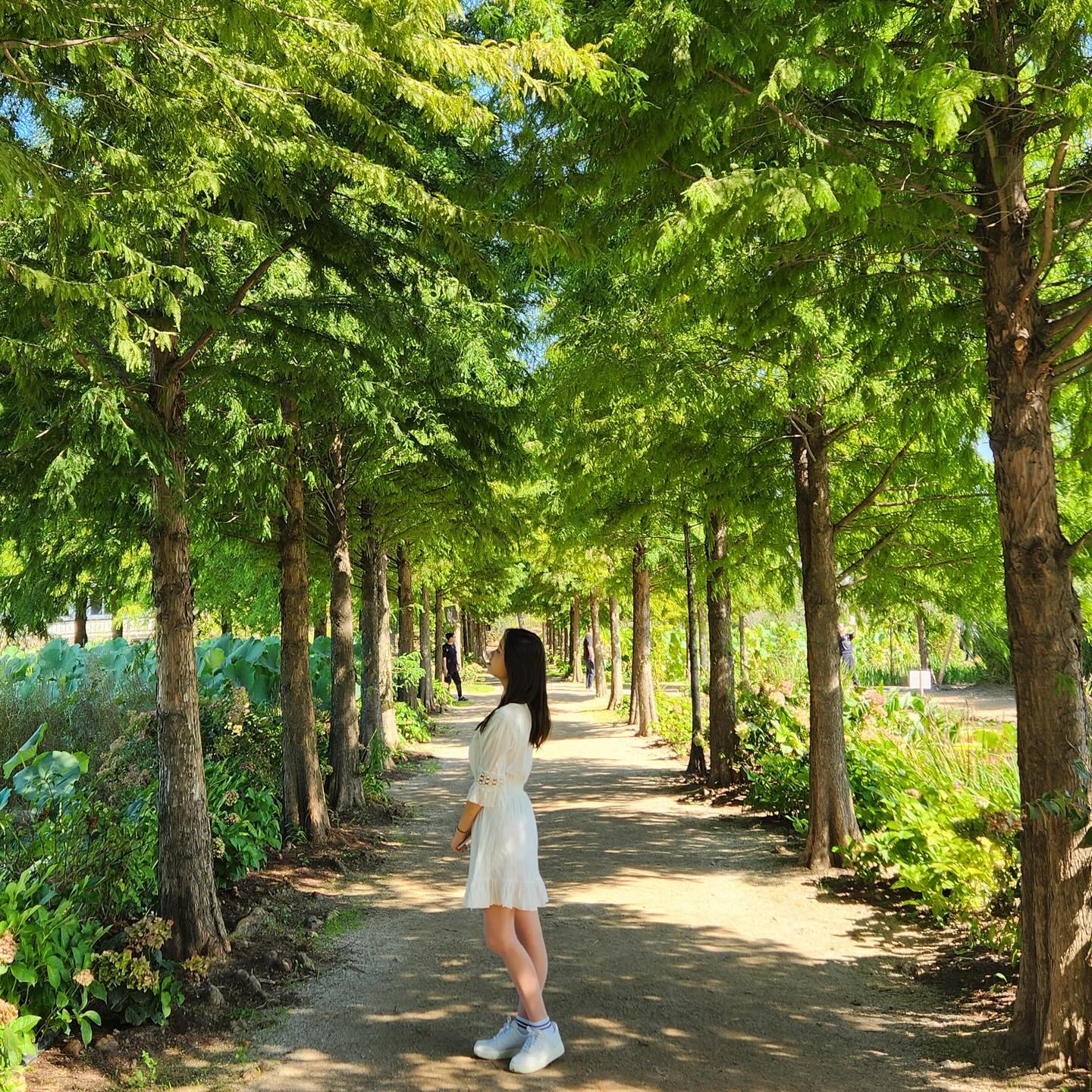 우와 가을 ☁️

#청산수목원 #가을 #팜파스 #핑크뮬리 #꽃