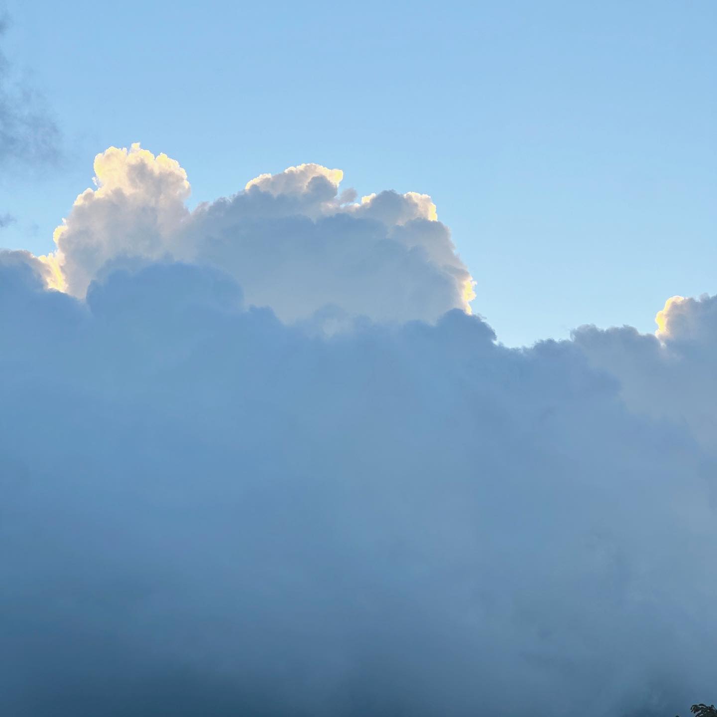 #구름
발이 가벼웠던 ☁️

#그런날 #산책 #문득 #하늘