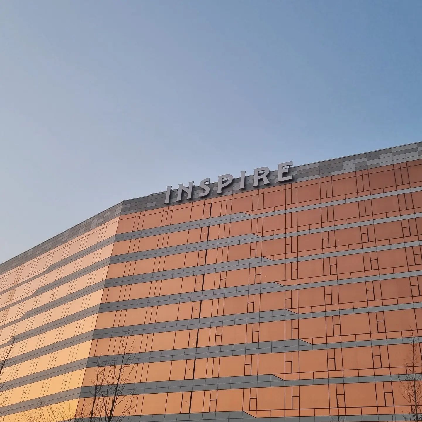 콘텐츠