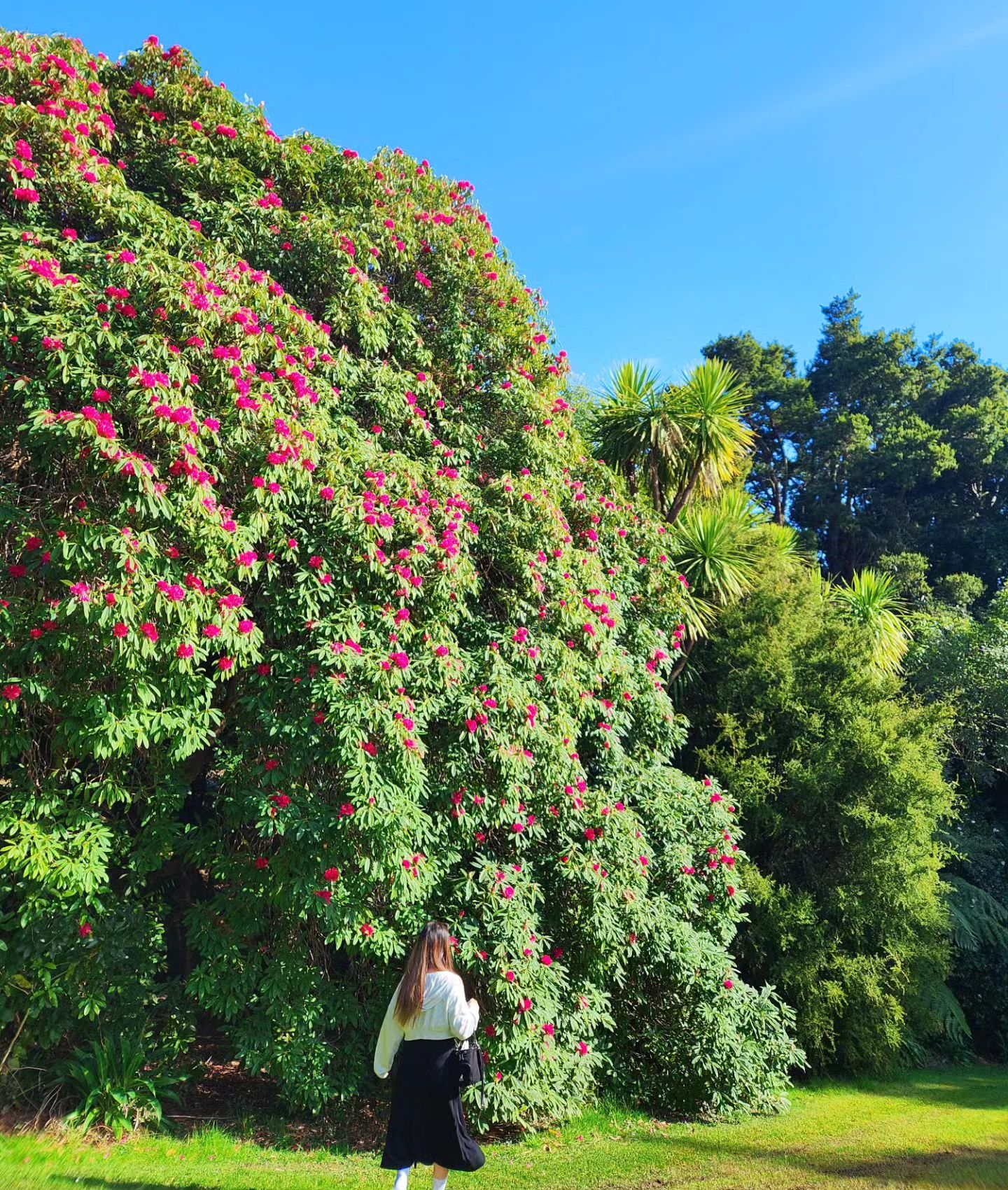 ℕ𝕖𝕝𝕤𝕠𝕟🌺
.
.
.
.
.
.
.
#뉴질랜드 #뉴질랜드여행 #뉴질랜드남섬 #뉴질랜드워홀 #워킹홀리데이 #워홀 #넬슨 #뉴질랜드넬슨 #newzealand #nelson #🌺