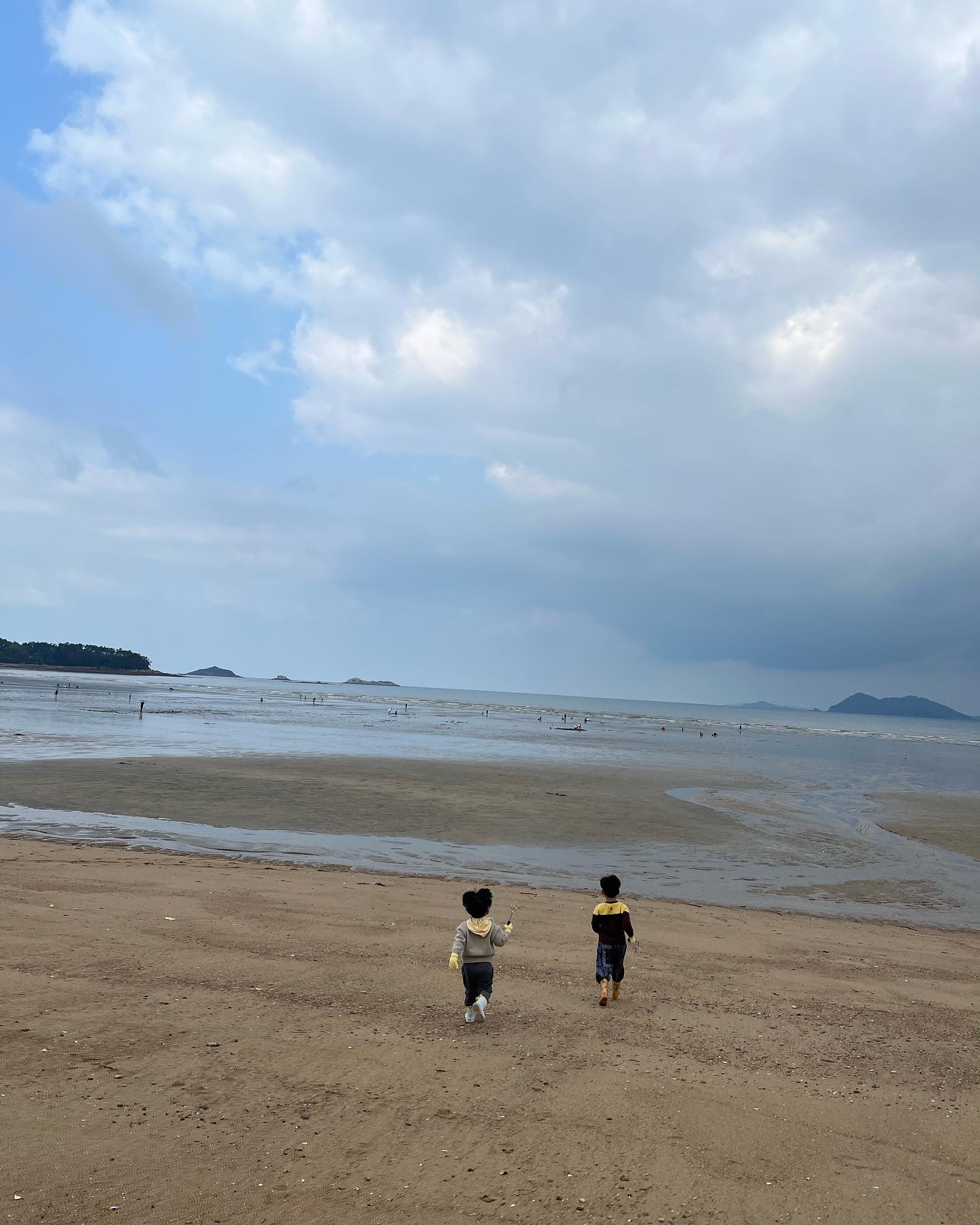갯벌 종종 다녀야게따 너무 재미짜나~~>_^🥹

맛조개 잡는재미(?) 잡는거 보는재미ㅋㅋ🤣

첫째는 고래. 꽃게 잡는다고 설레고,,

둘째는 상어 잡는다고 설레고,,

정말 상상력이 풍부해ㅎㅎㅎㅎㅎㅎ💕