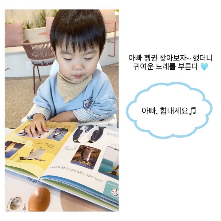 #광고 bluerabbit_official_korea 

#아빠힘내세요
#펭귄아빠도힘내세요

아쿠아리움 다녀온 다음날
펭귄책을 꺼내주며
펭귄가족을 소개시켜줬더니
대뜸 아빠힘내세요 노래를 부른다 ㅋㅋㅋ

요즘 말이 너무 늘어서
혼잣말도 조심하게 되는데
언어발달에 자연관찰 책육아가 큰 도움이 된 것 같다.
(나는 동화책보다 자연관찰을 더 많이 보여줌ㅋㅋㅋ)

#궁금하면들춰봐 + 토끼펜 조합은 최고다!
세이펜보다 더 잘쓰고 있다.😃

#깨동22개월 입성
#깨동엉님 말대꾸도 하기 시작
#겨울방학 #새해첫전집 #생생자연관찰
