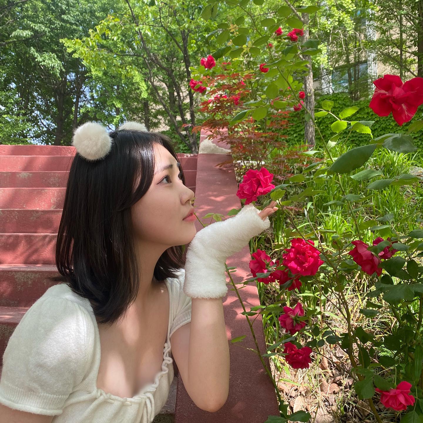요정 등장