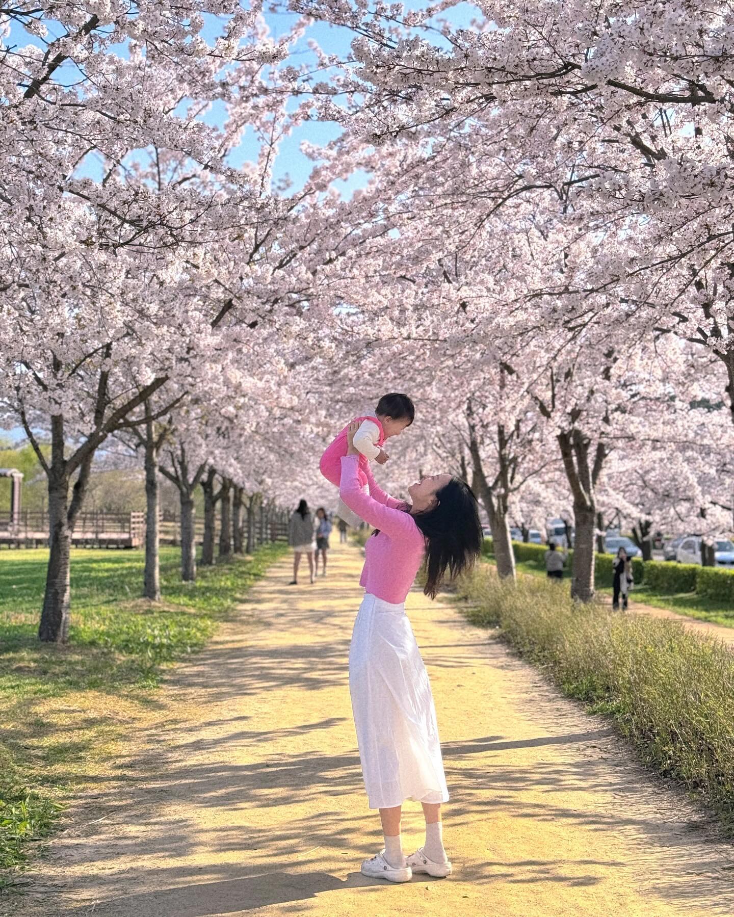 온유랑 엄마랑 강릉에서 벚꽃🌸
다음엔 무슨 꽃 보러가까?
👶🏻: 
#아기랑꽃놀이 #돌아기 #아들맘 #벚꽃명소 #벚꽃