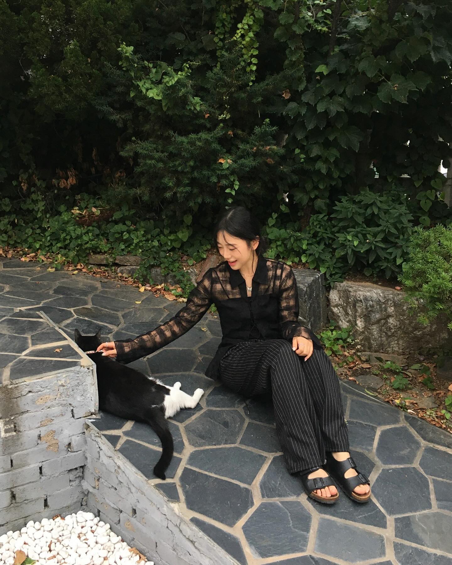 고양이만 보면 냅다 주저앉는 커플