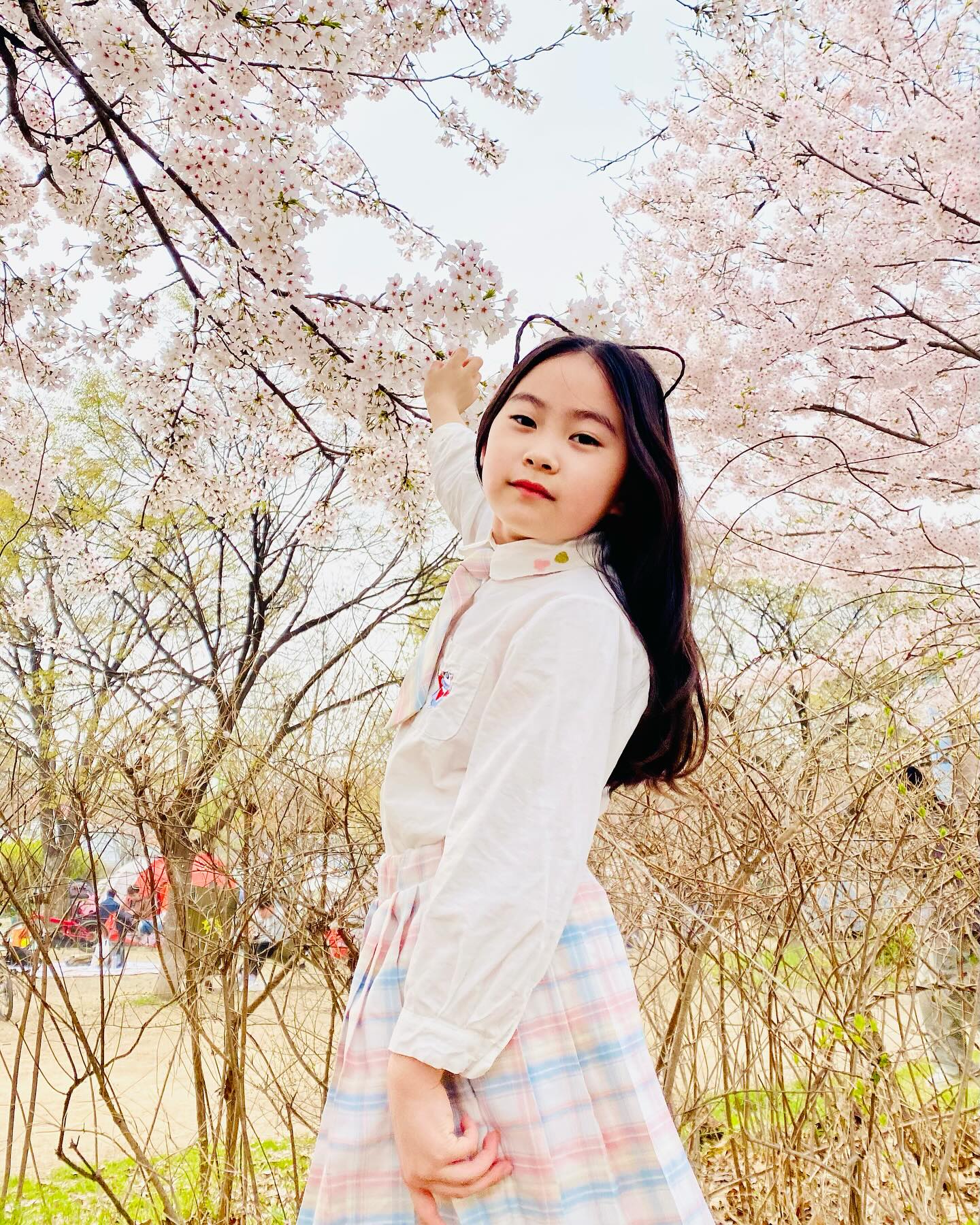 벚꽃🌸

친구랑 한강 나들이