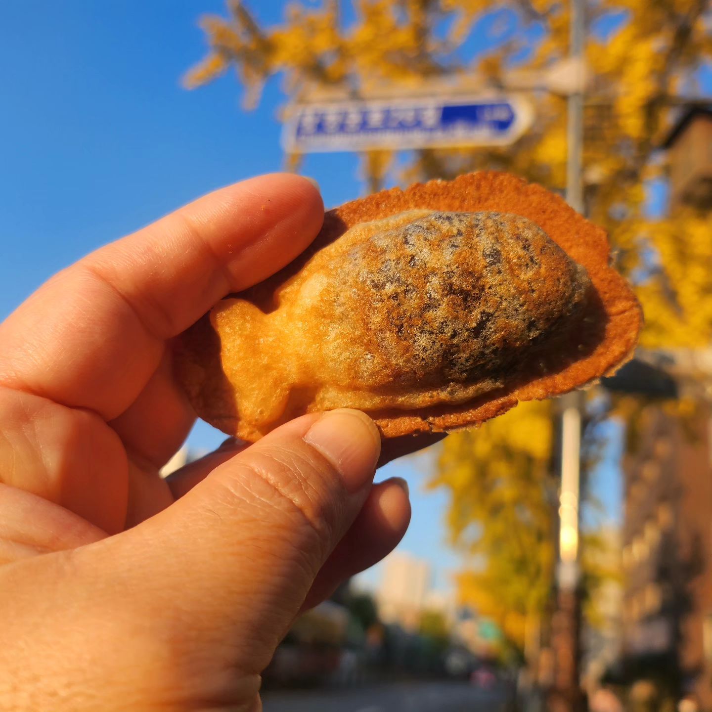 대학로나들이 갔다 잡은(?) 붕어빵
줄서서 사야하는 인기붕어빵인만큼
맛도 풍미도 굿~!!
울집 근처에도 있음 좋겠당~^^
. 
#붕어빵 #붕세권 #대학로 #대학로붕어빵 
#수정붕어빵 #붕어빵맛집 #미니붕어빵 #팥붕어빵 #슈붕어빵 #맛있다그램 #간식스타그램