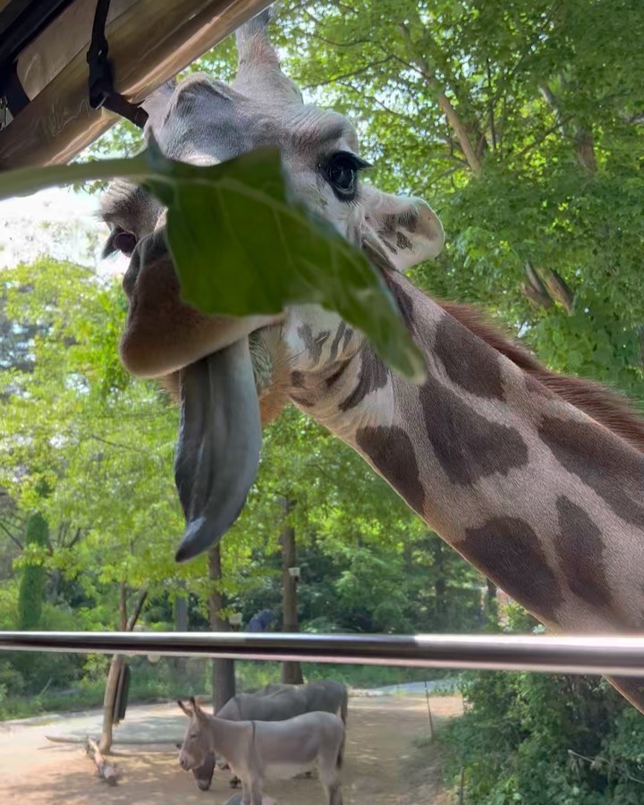 콘텐츠