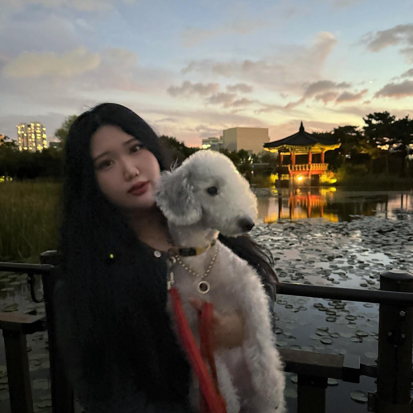 내 전부 똥강아지